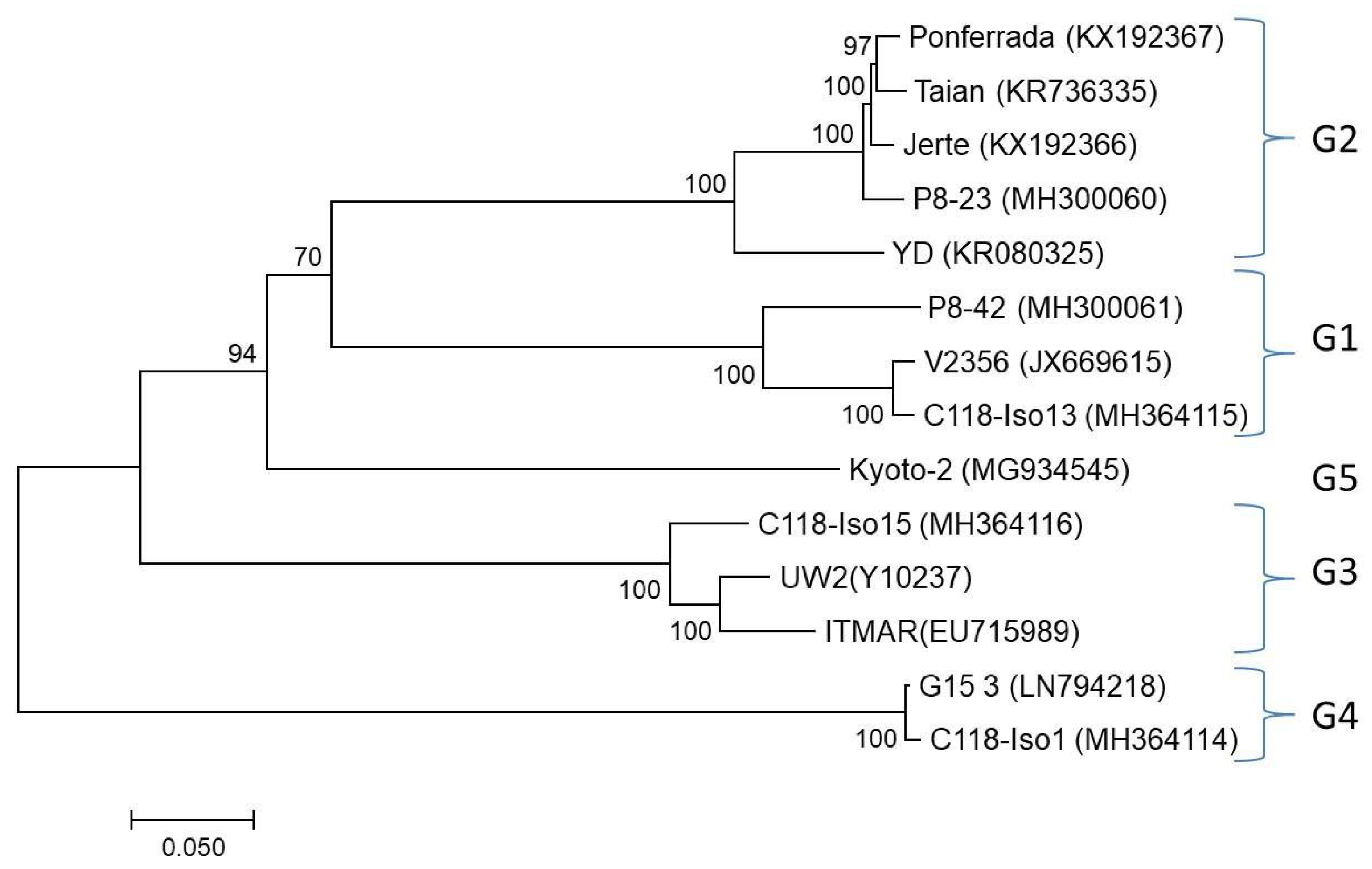 Viruses 10 00385 g004 Viruses 10 00385 g004