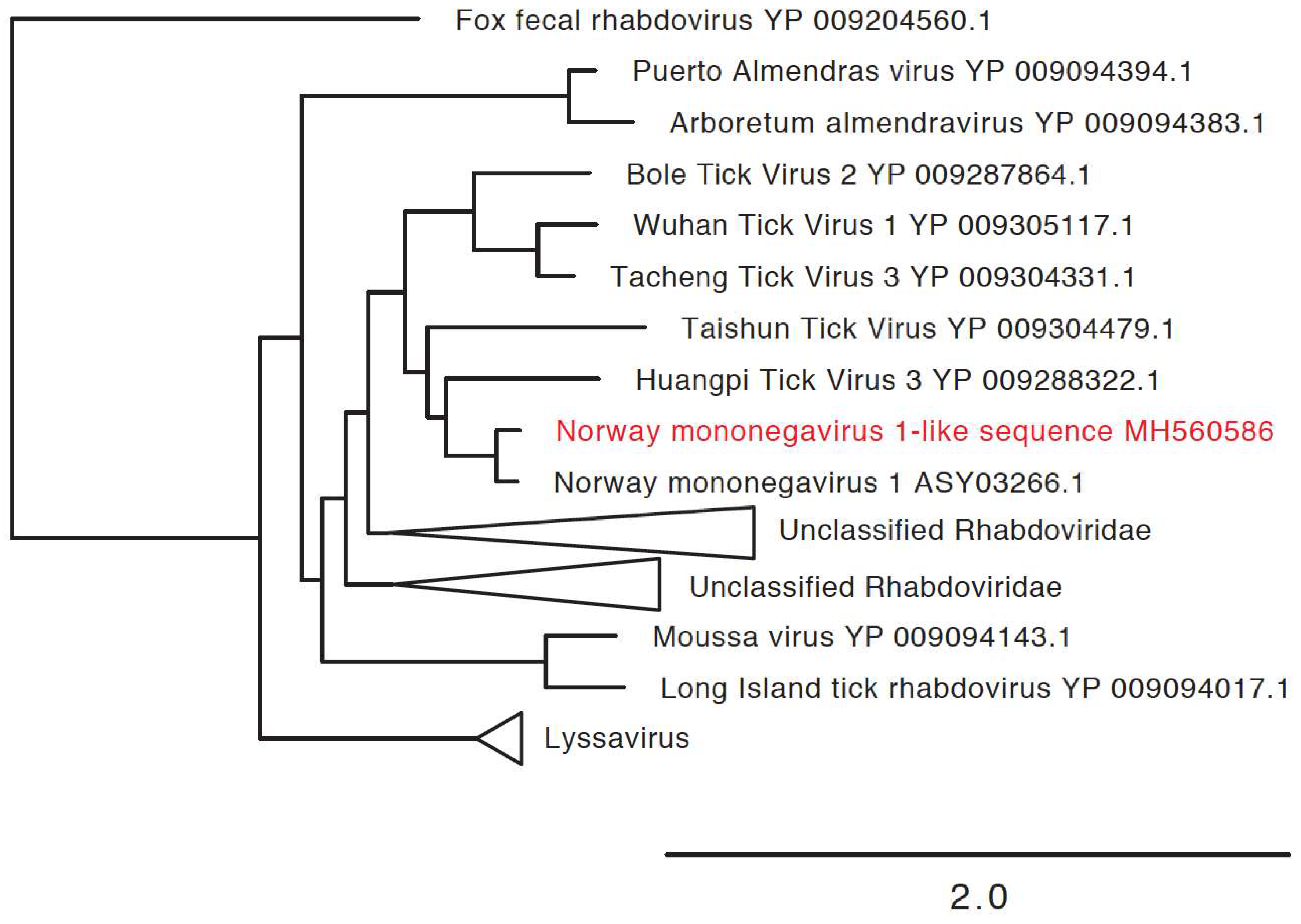 Viruses 10 00388 g006