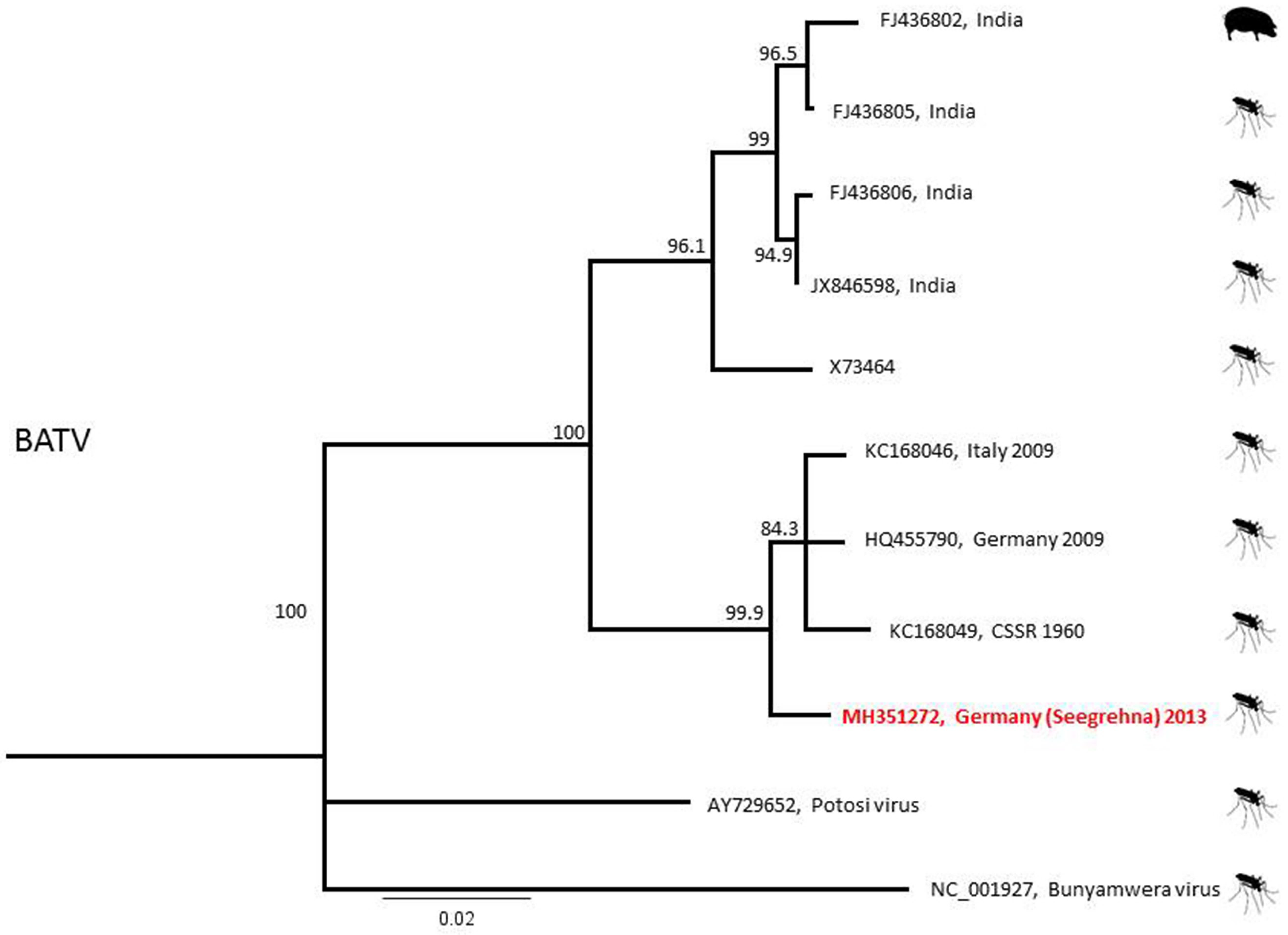 Viruses 10 00389 g005 Viruses 10 00389 g005
