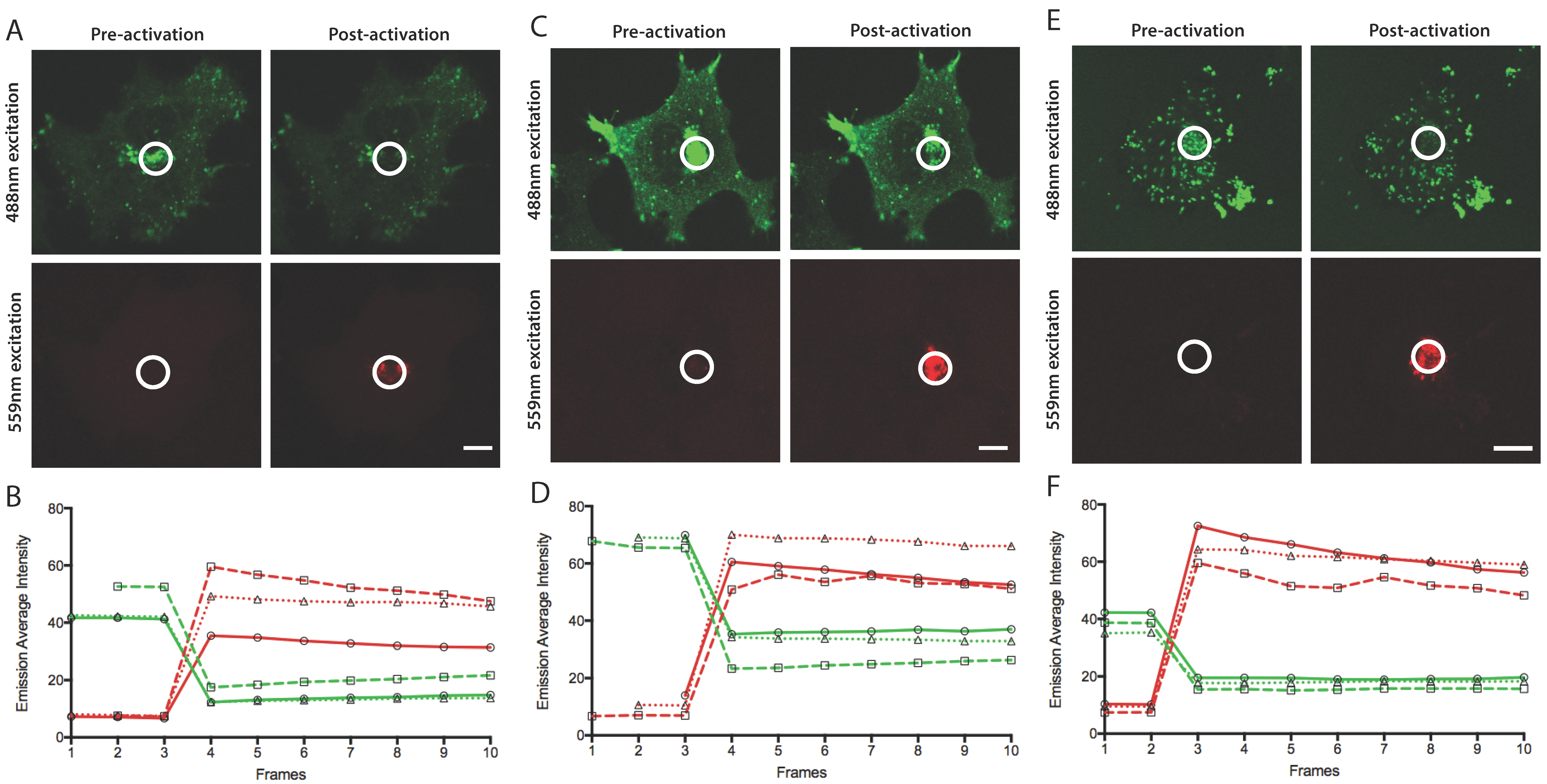 Viruses 10 00390 g003