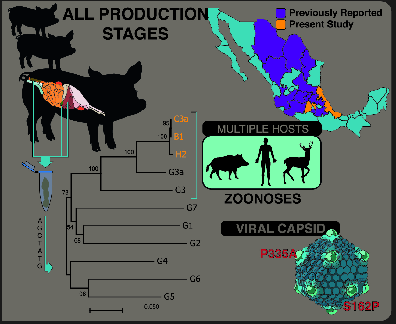 Viruses Free FullText Analysis and Characterization