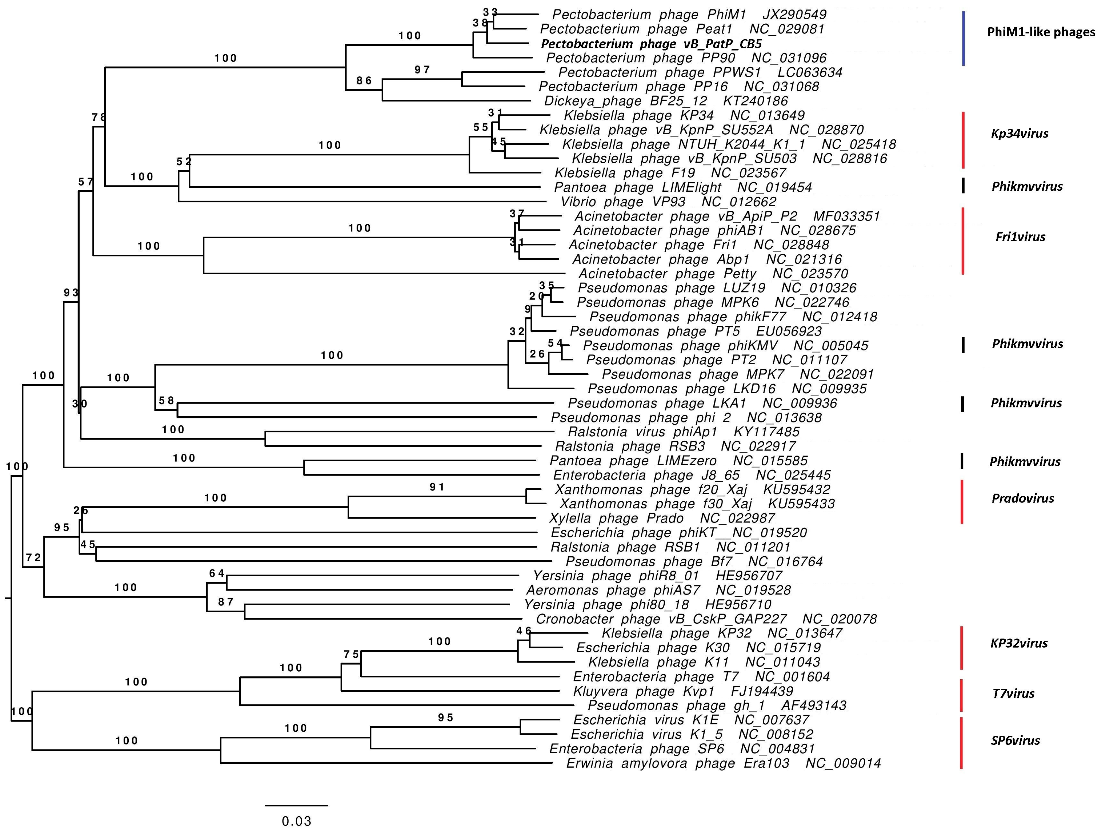 Viruses 10 00394 g006
