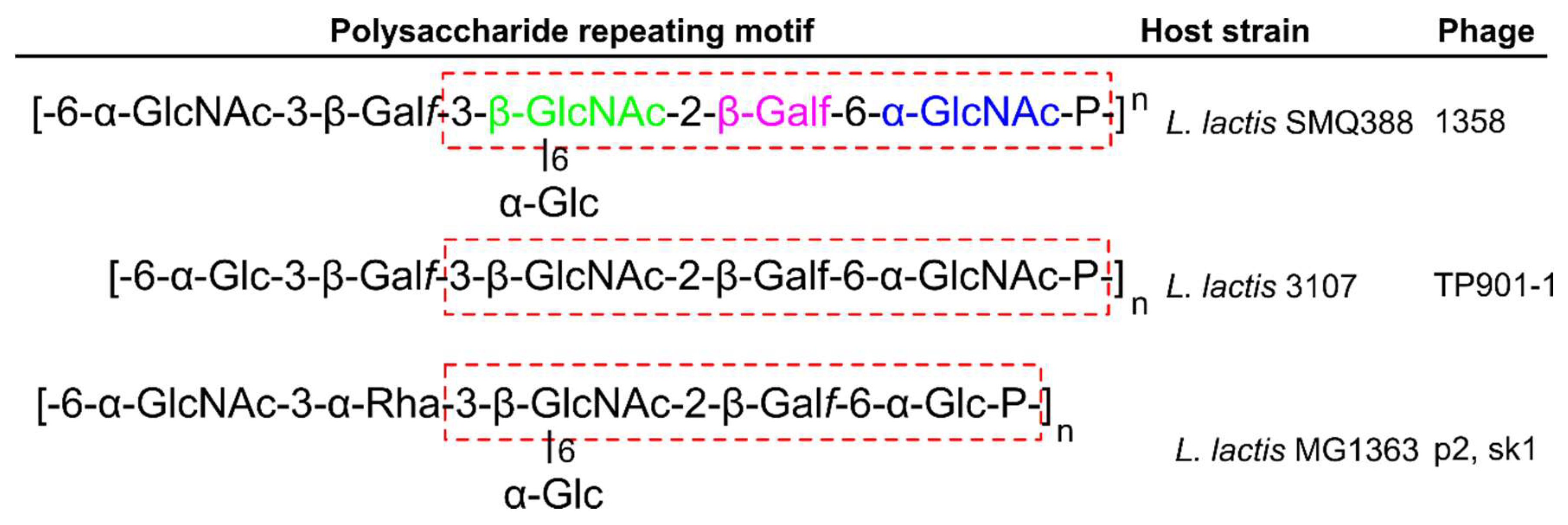 Viruses 10 00397 g007 Viruses 10 00397 g007