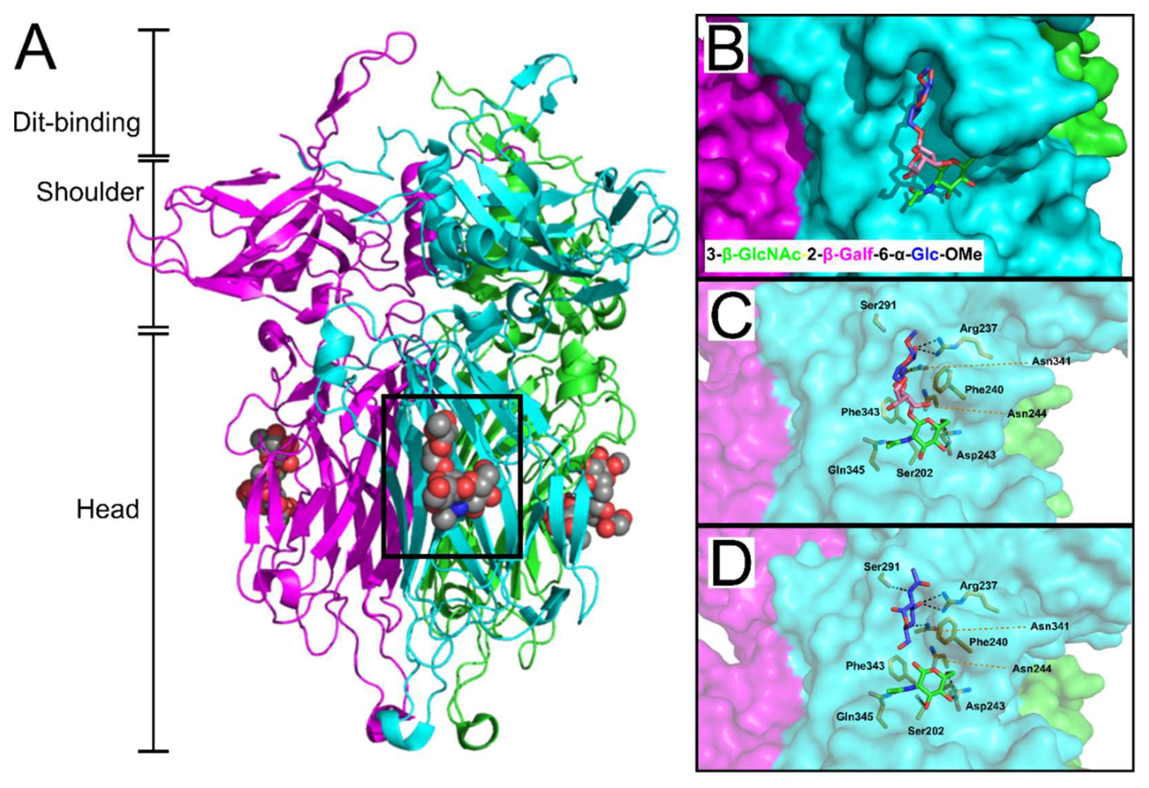 Viruses 10 00397 g008 Viruses 10 00397 g008