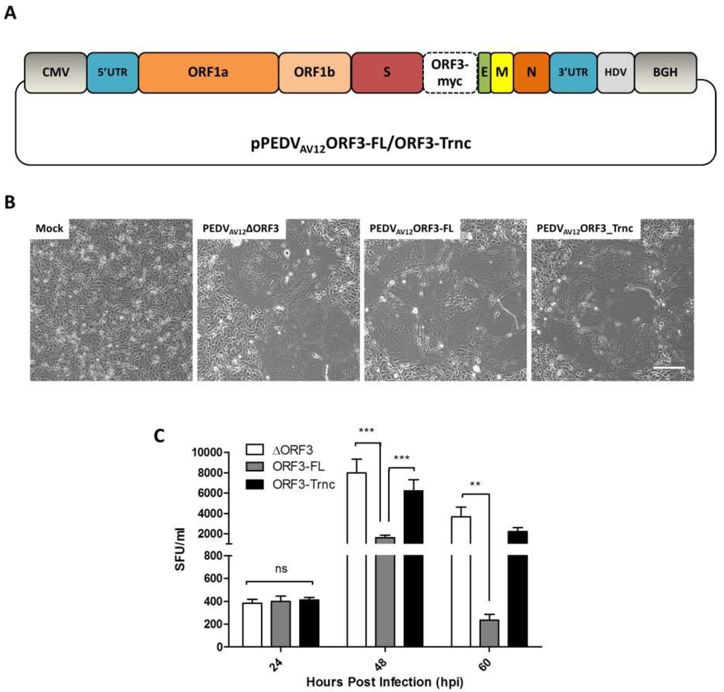 Viruses 10 00399 g001