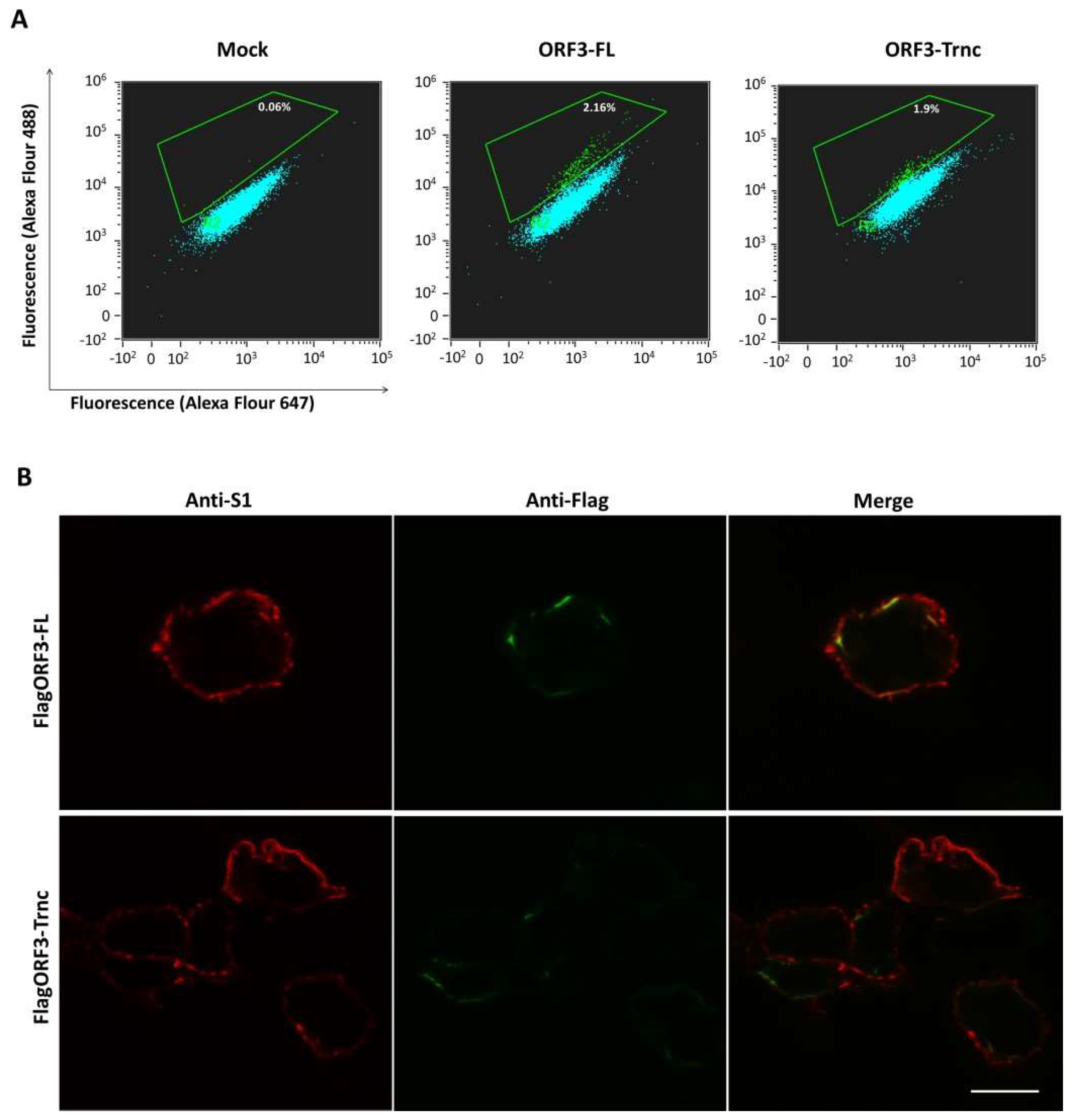 Viruses 10 00399 g005