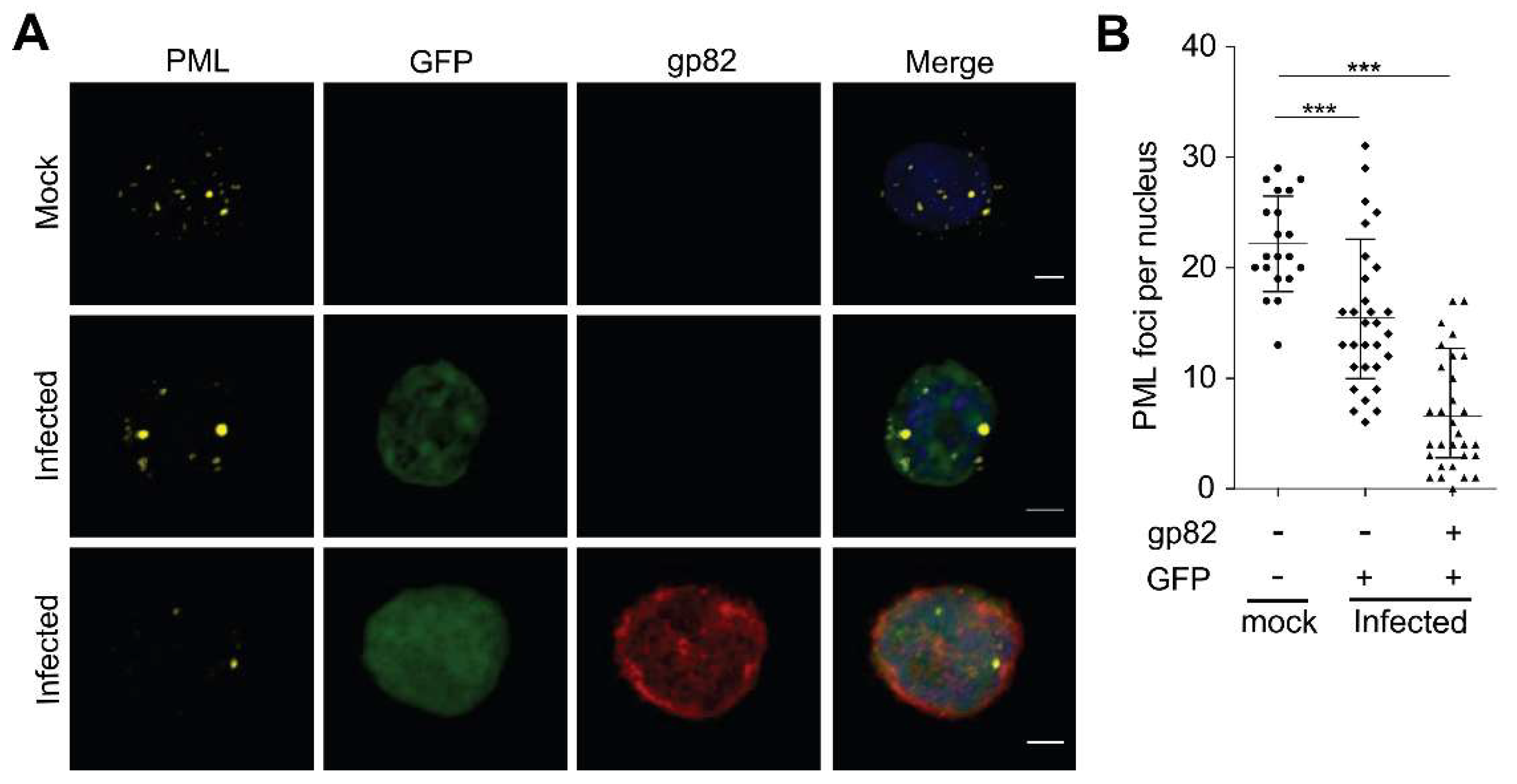 Viruses 10 00401 g001 Viruses 10 00401 g001