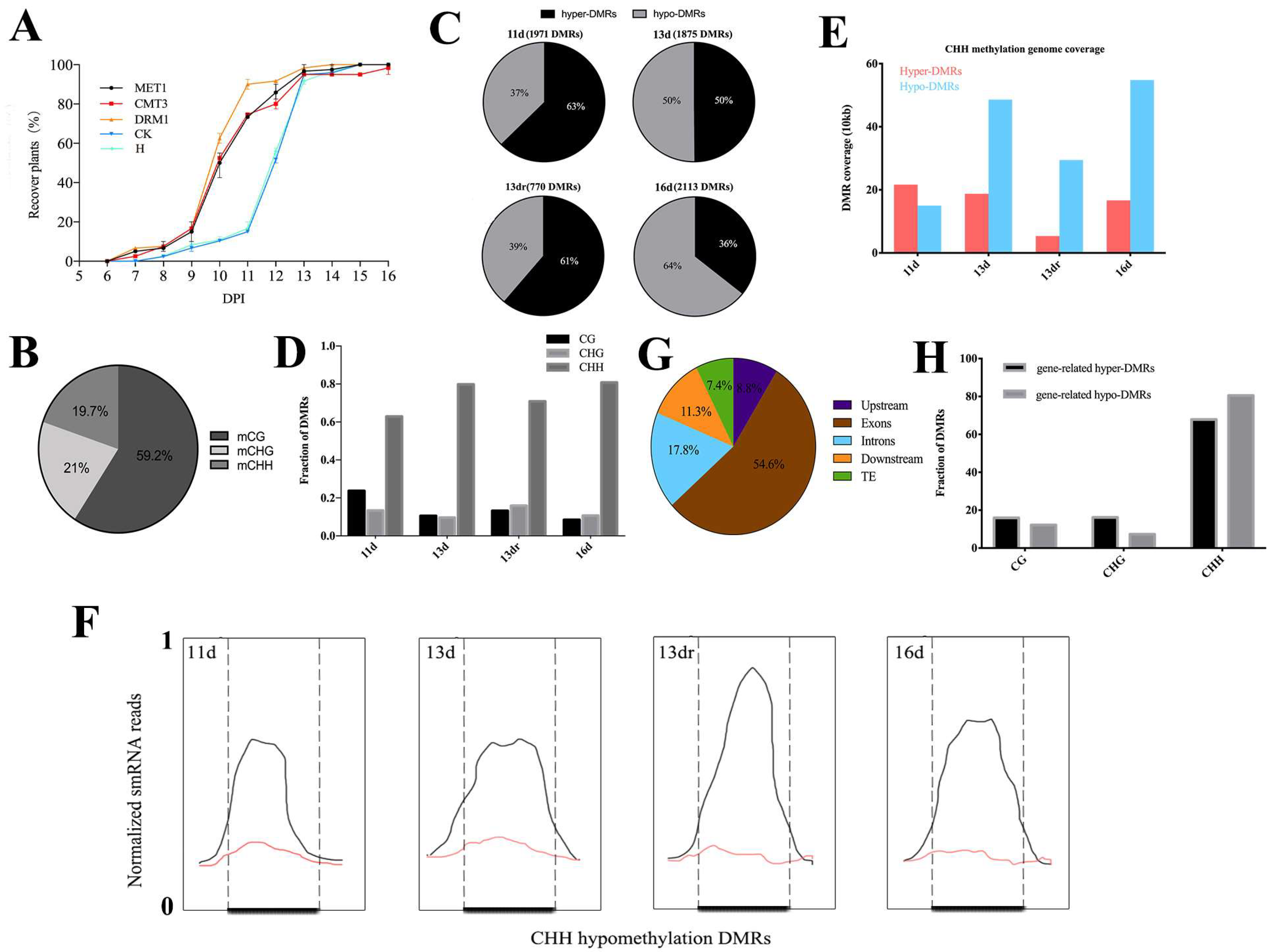 Epigenetic Changes in the Regulation of Nicotiana tabacum