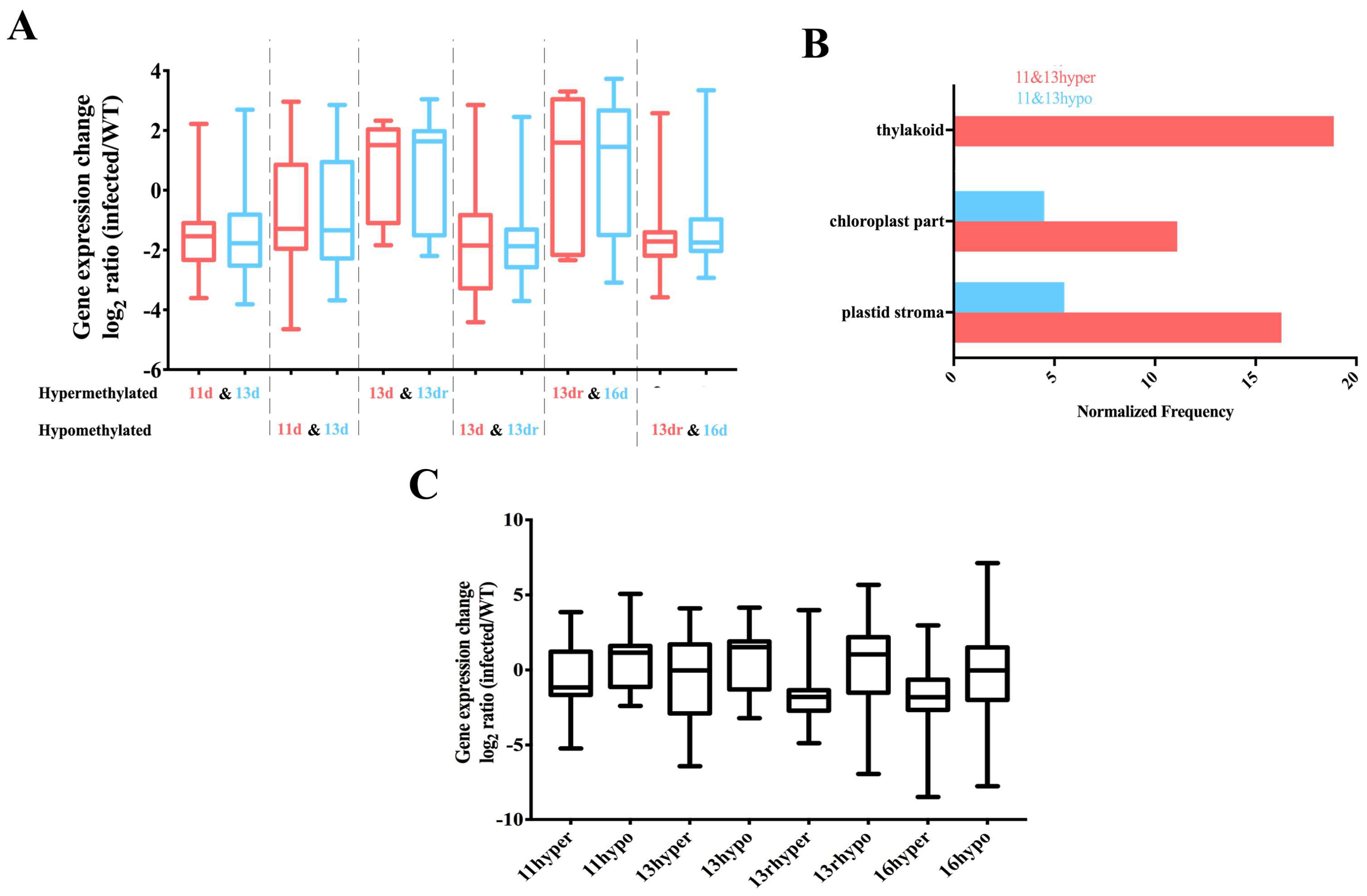 Viruses 10 00402 g003 Viruses 10 00402 g003