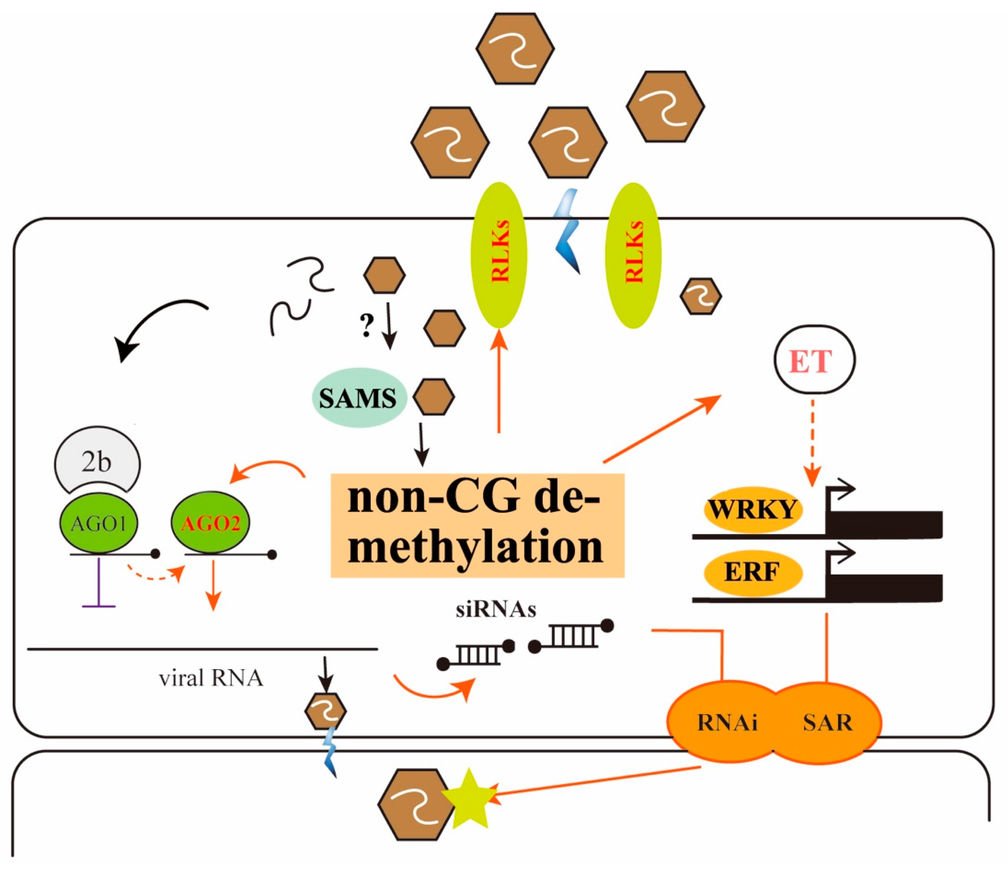 Viruses 10 00402 g005 Viruses 10 00402 g005