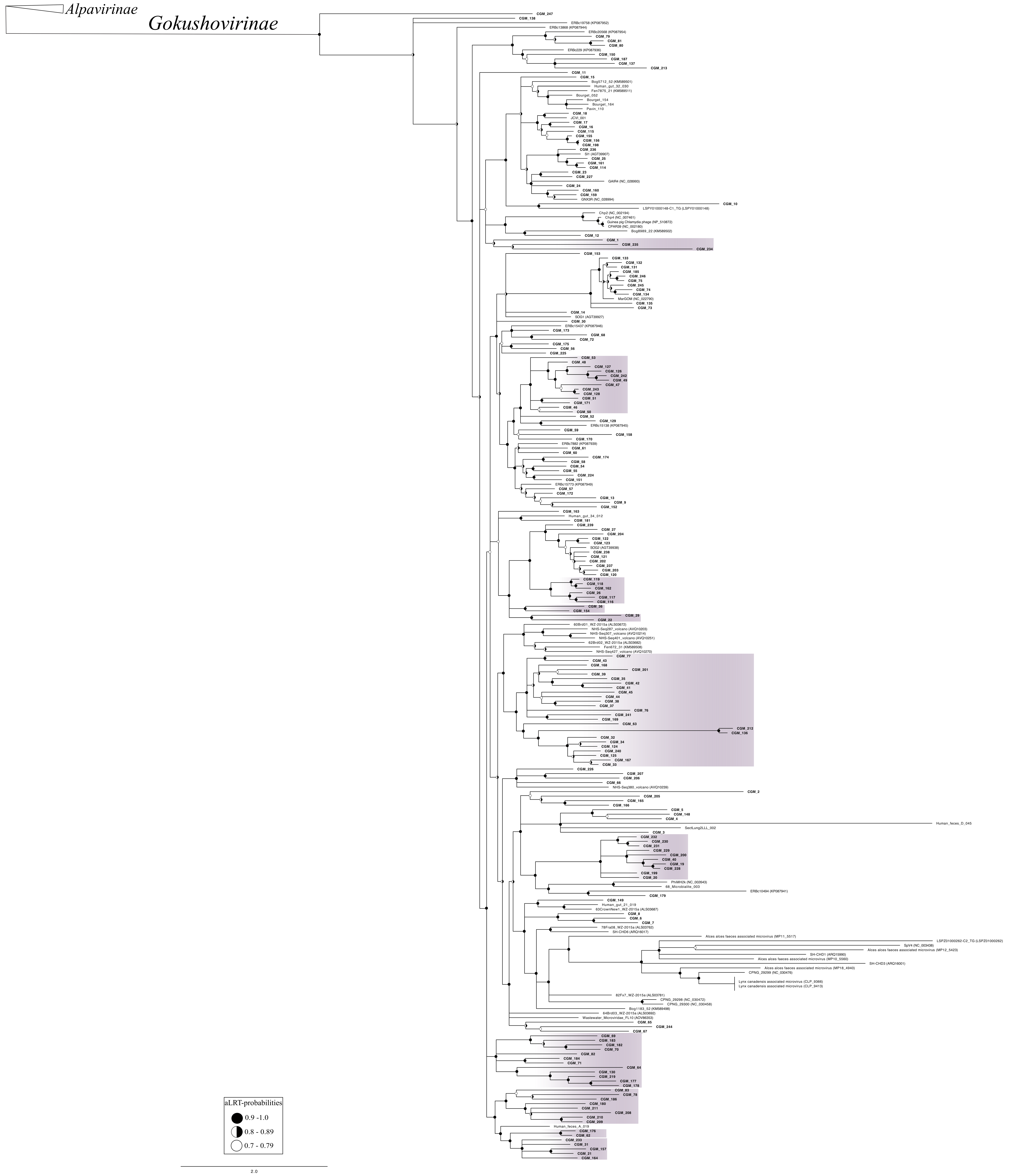Viruses 10 00404 g002