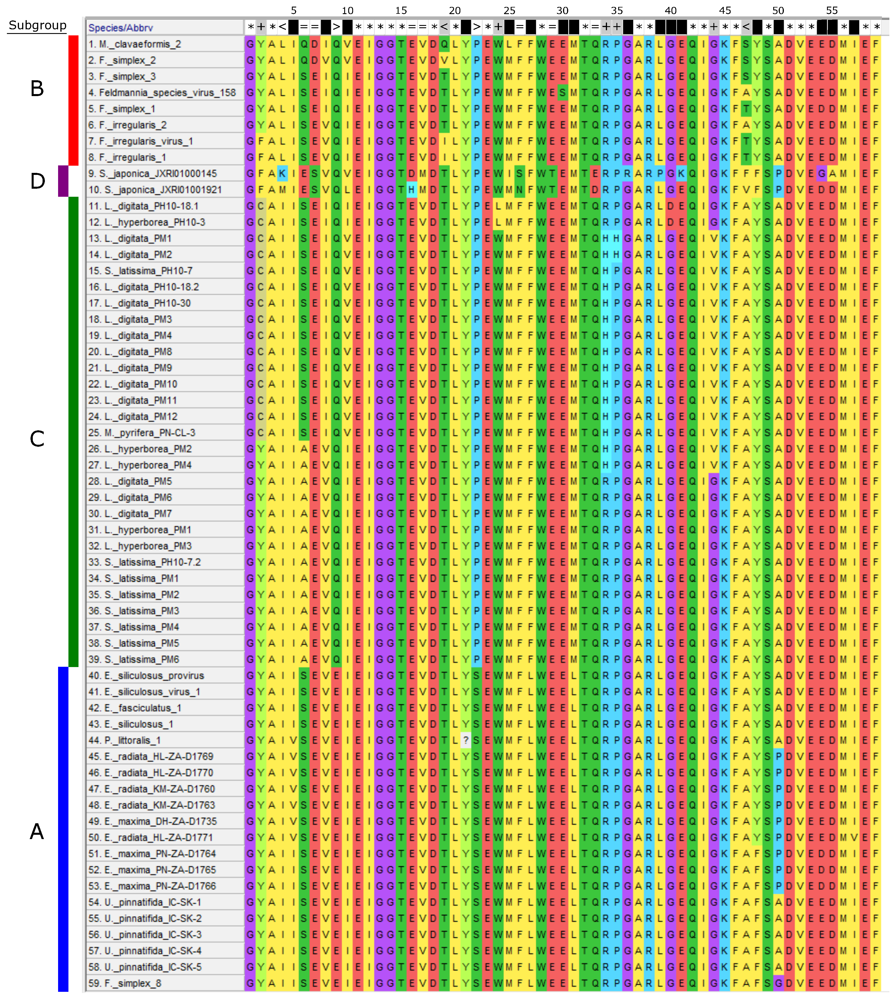 Viruses 10 00410 g003