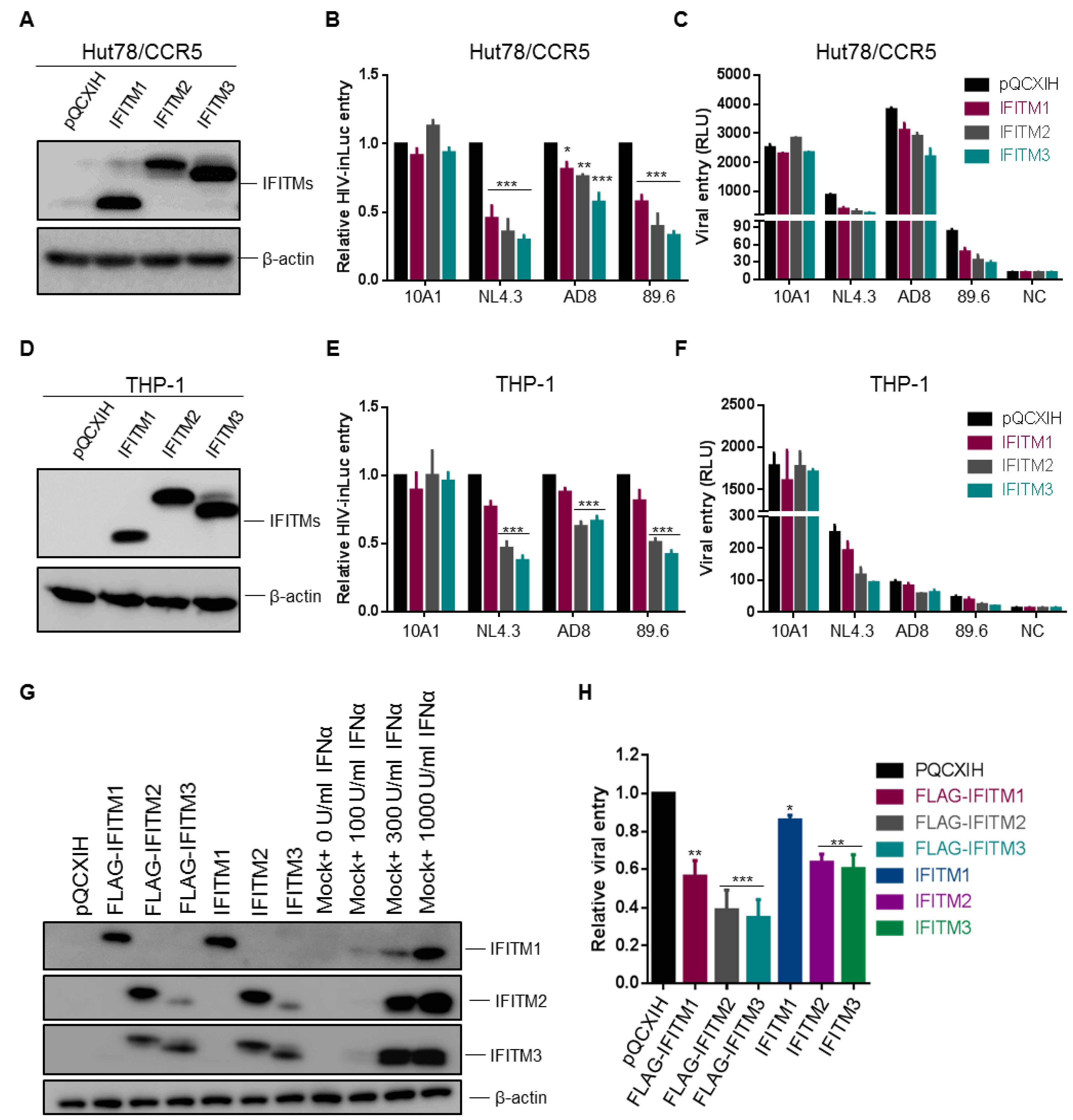 Viruses 10 00413 g003