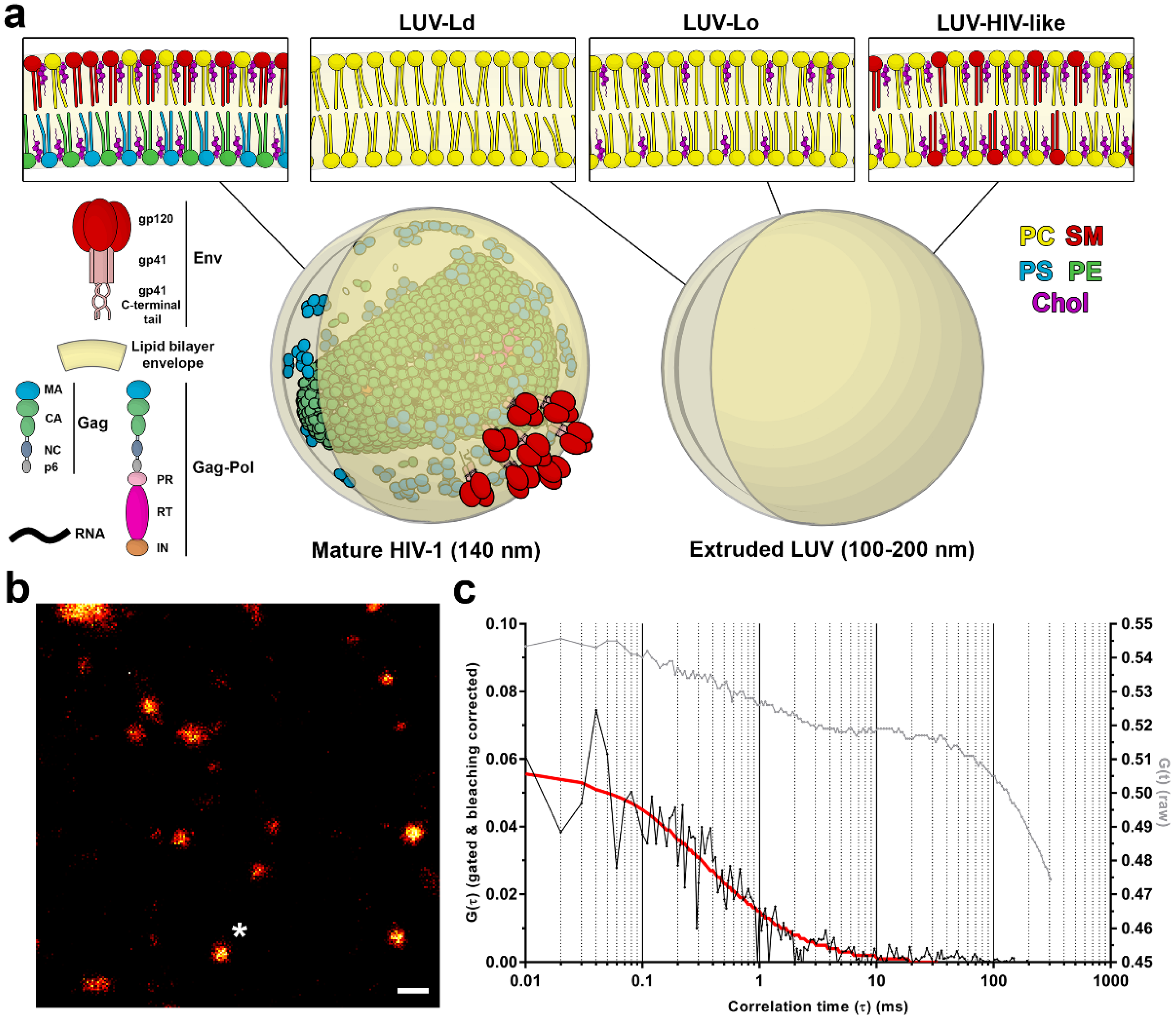 Viruses | Free Full-Text | Lipid Composition but Not Curvature Is the
