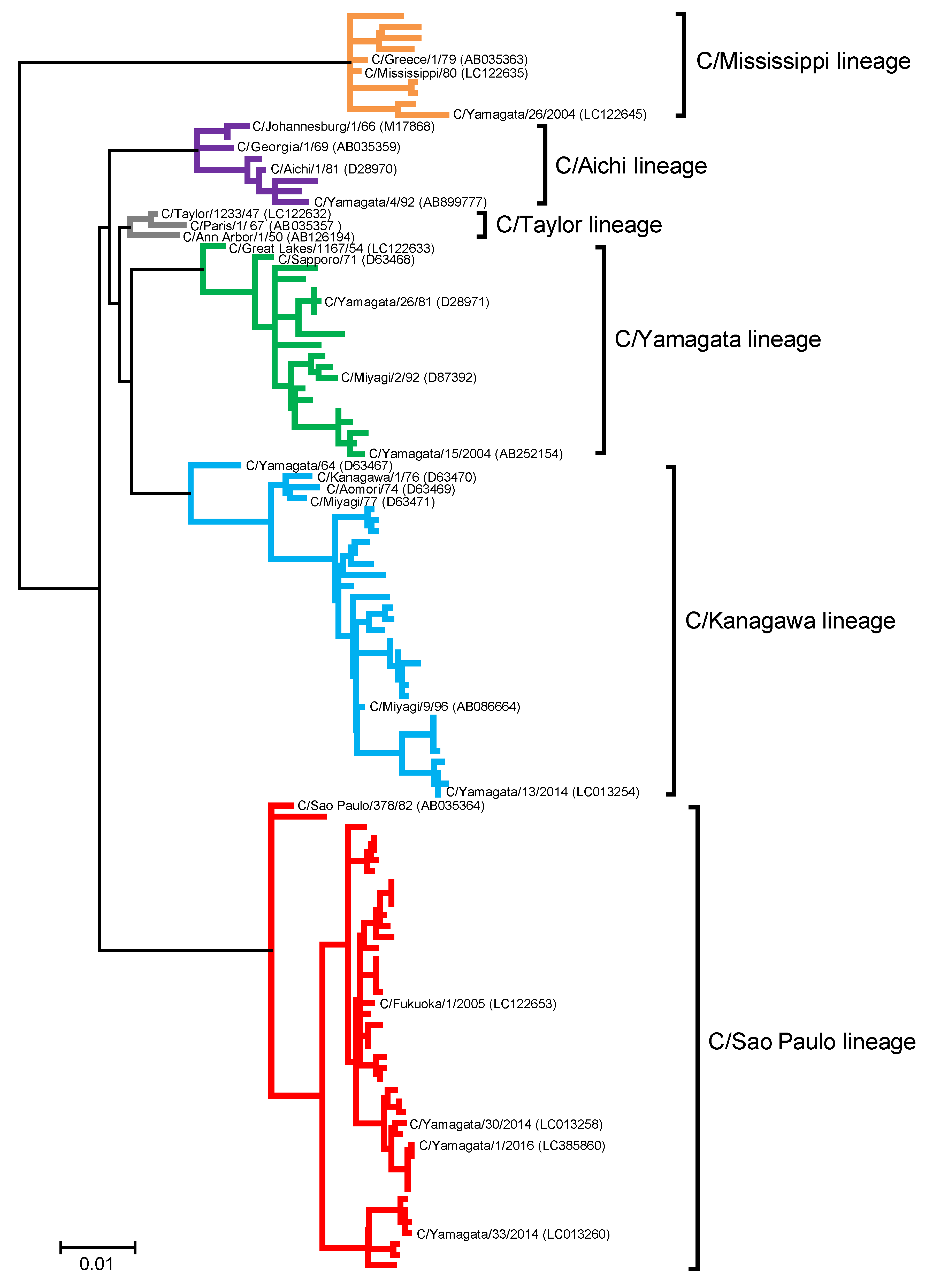 Viruses 10 00417 g002