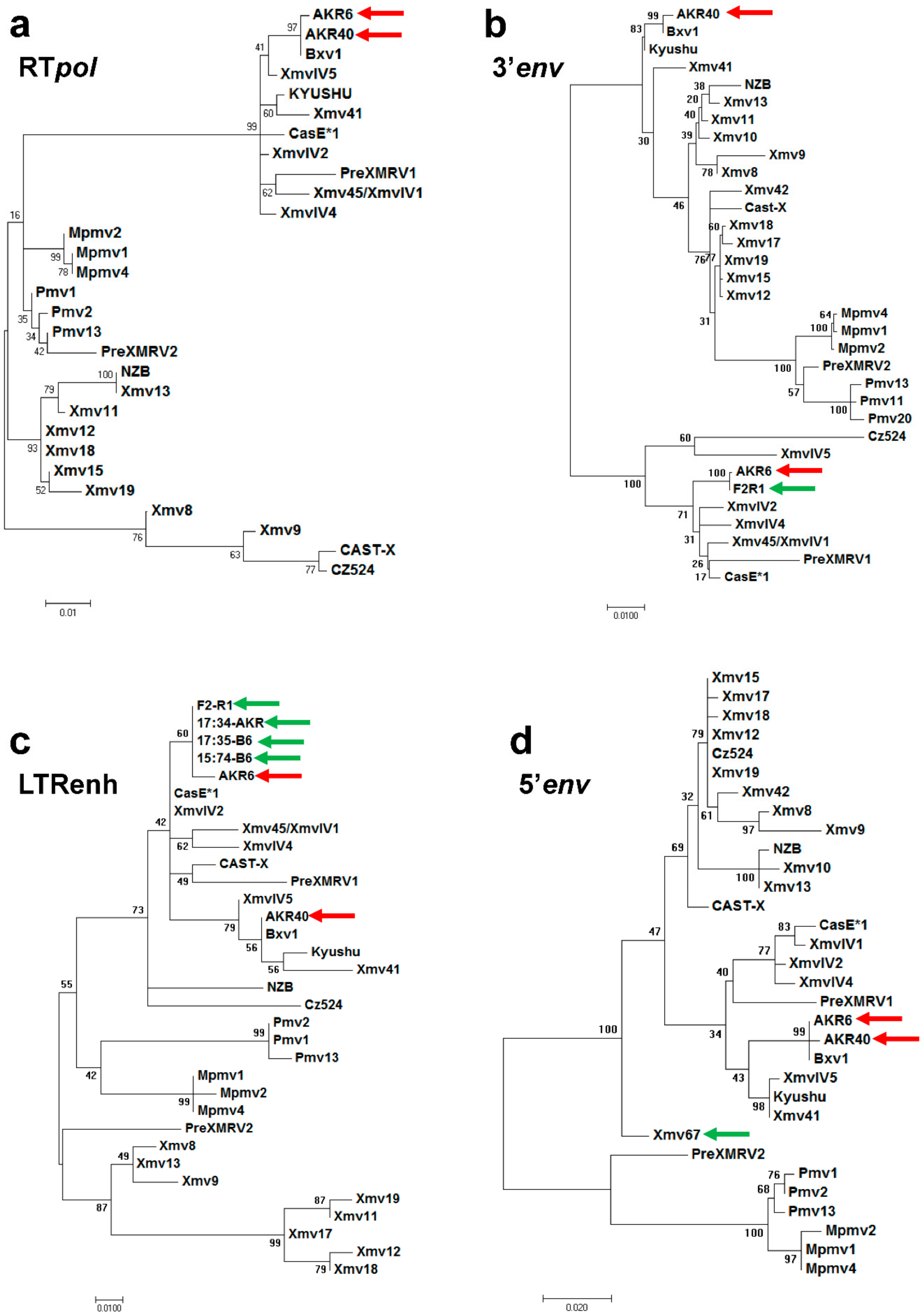 Viruses 10 00418 g002