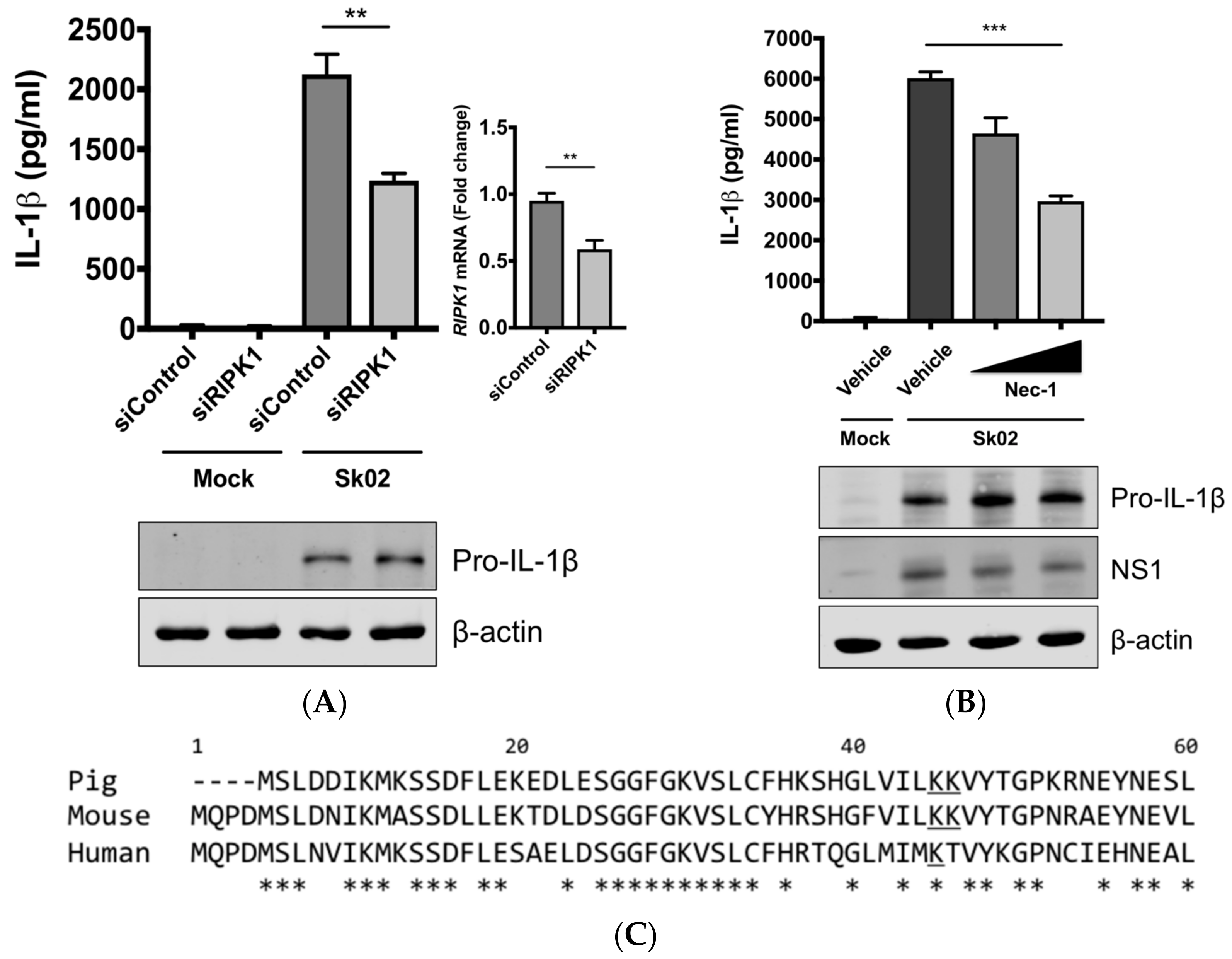 Viruses 10 00419 g004a