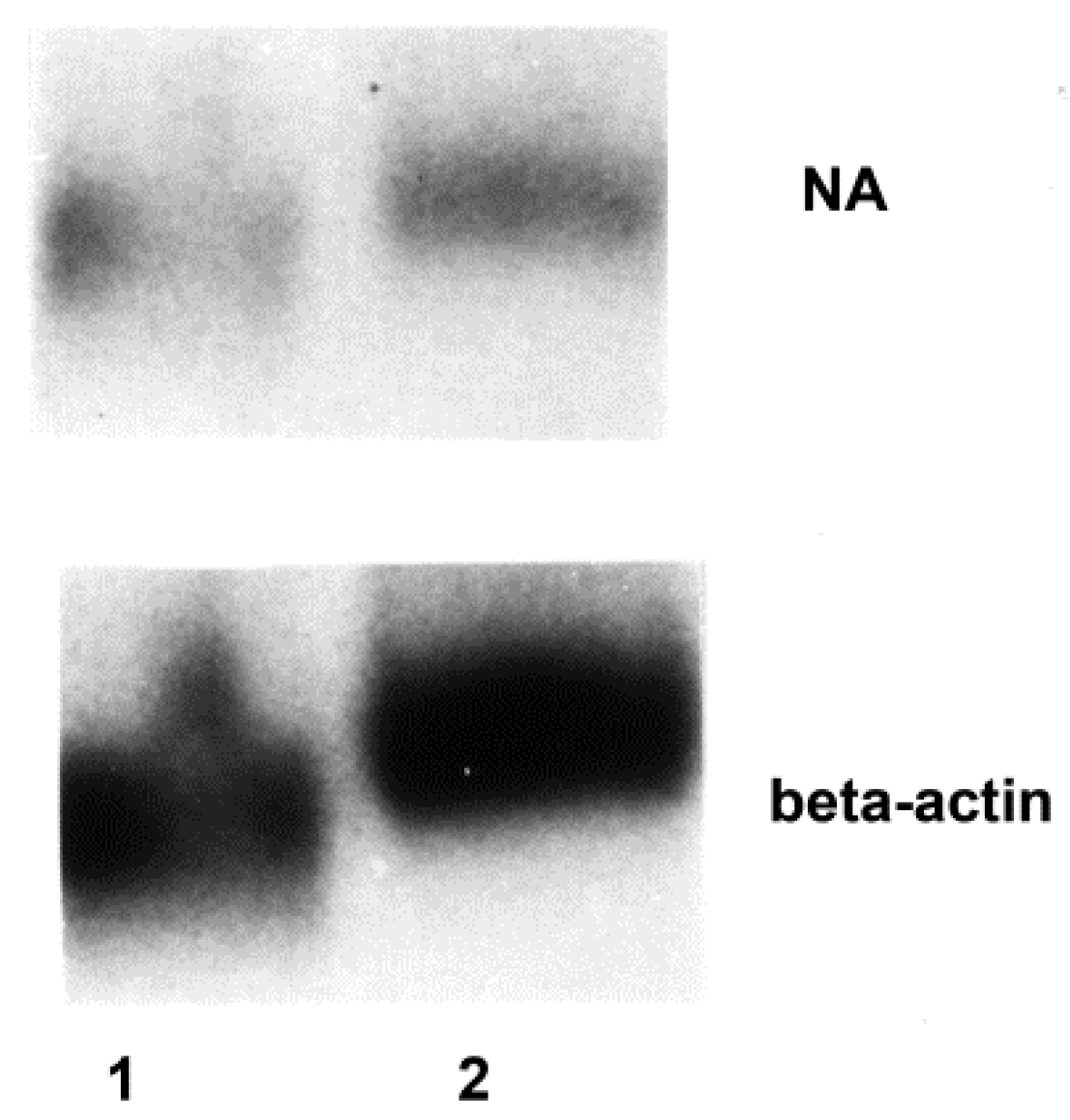 Viruses 10 00420 g003