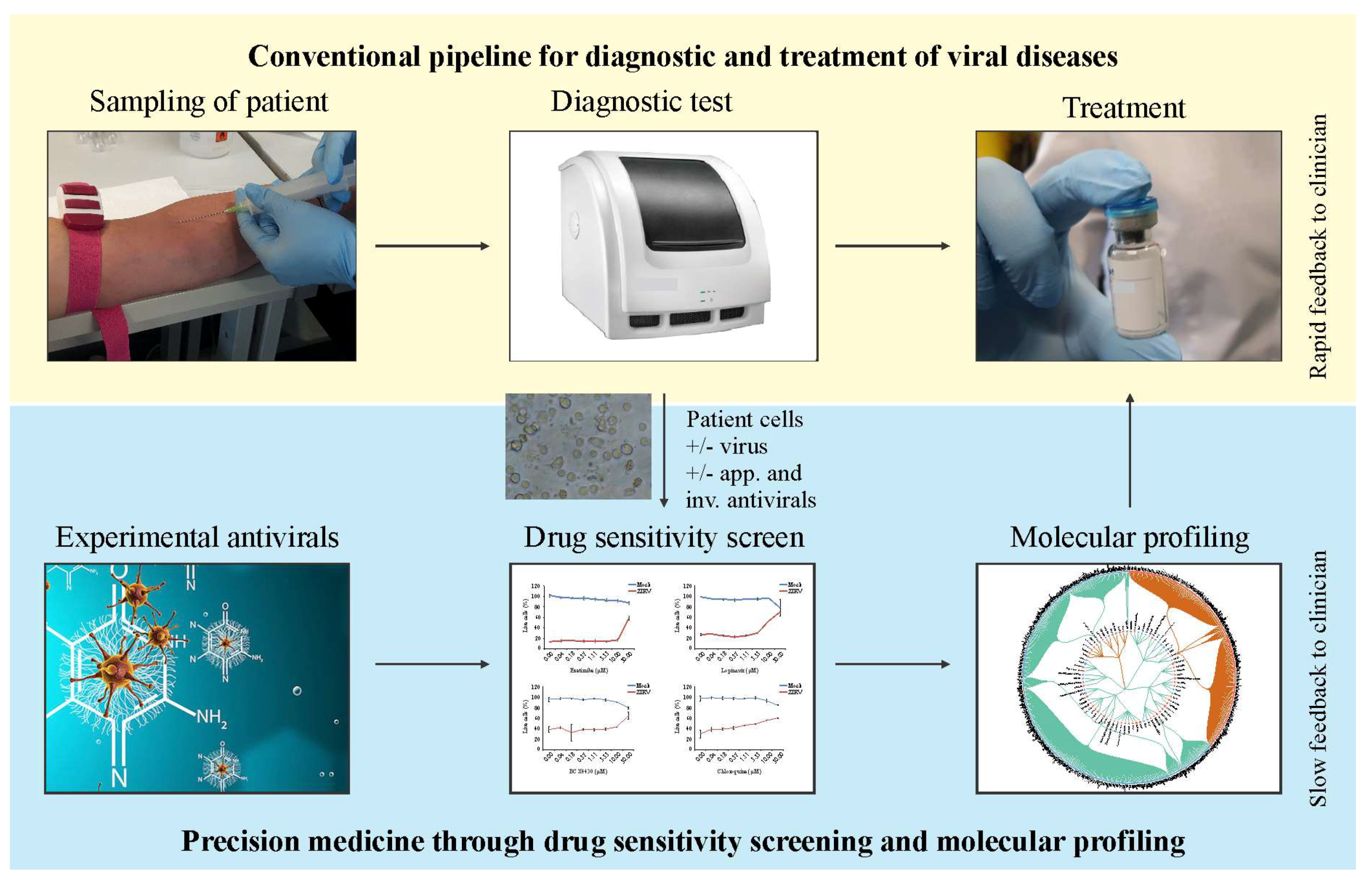 Viruses 10 00423 g006