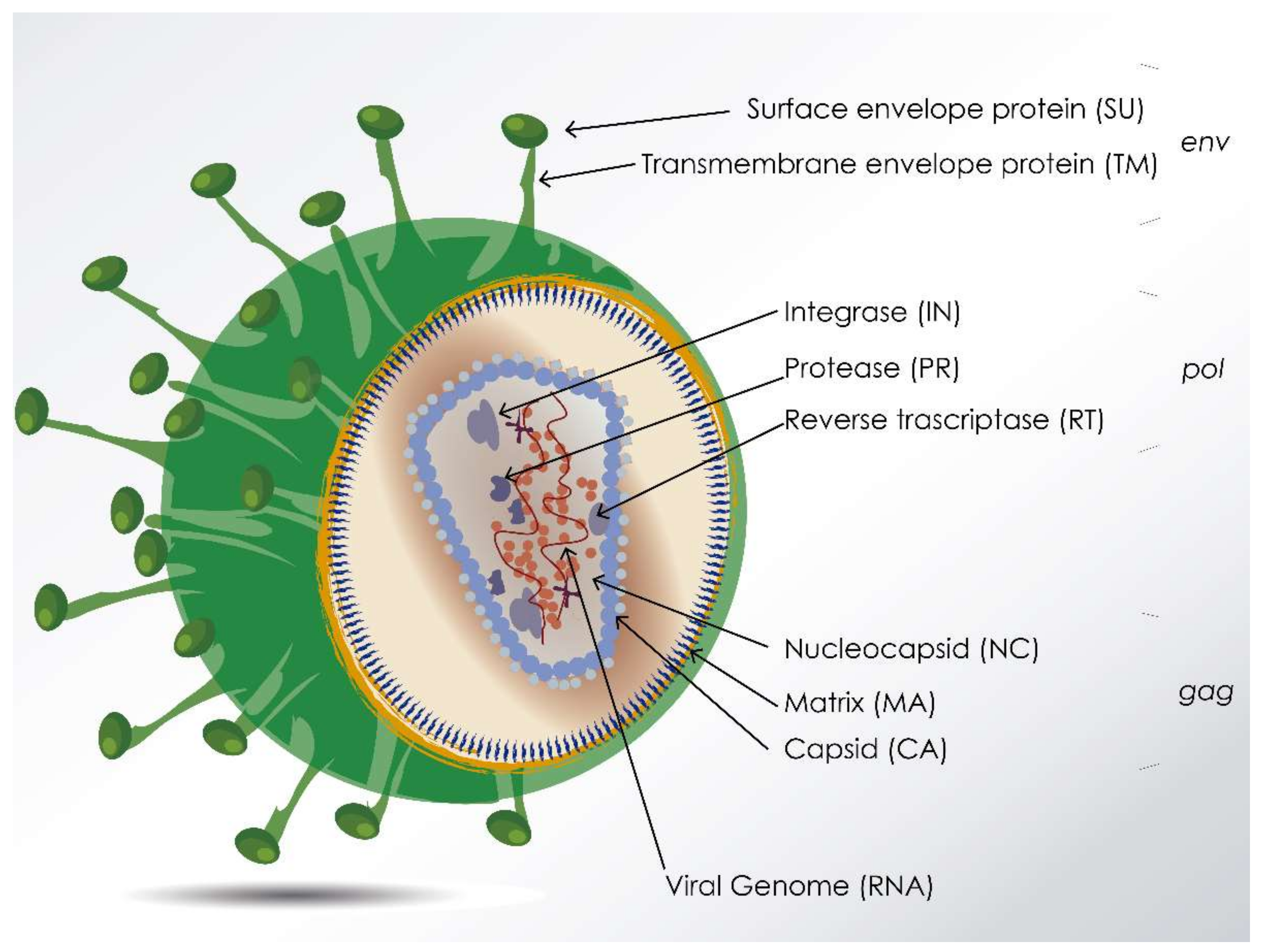Viruses 10 00435 g001