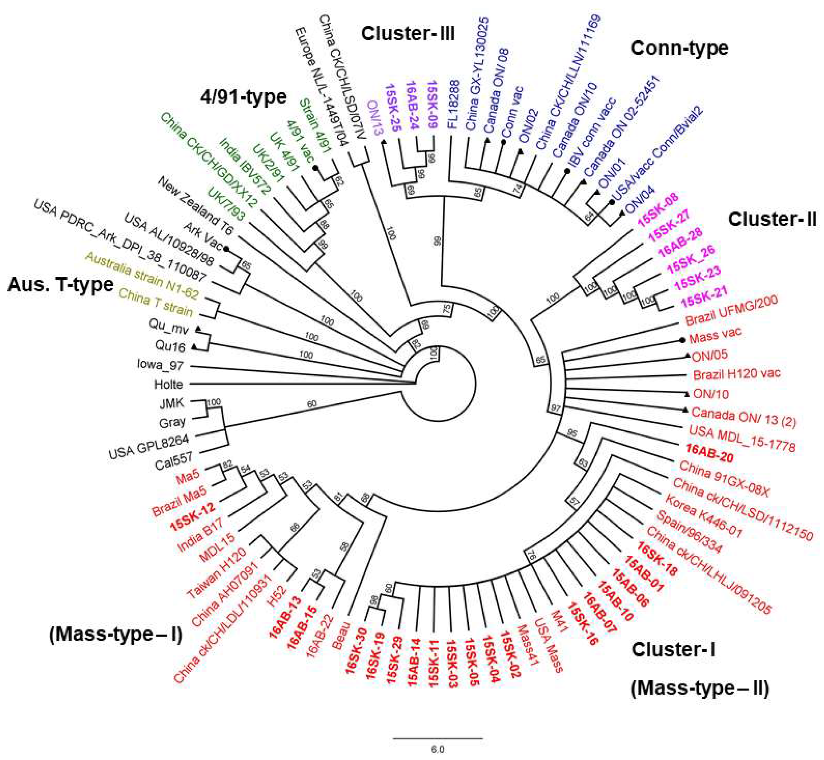 Viruses 10 00437 g002