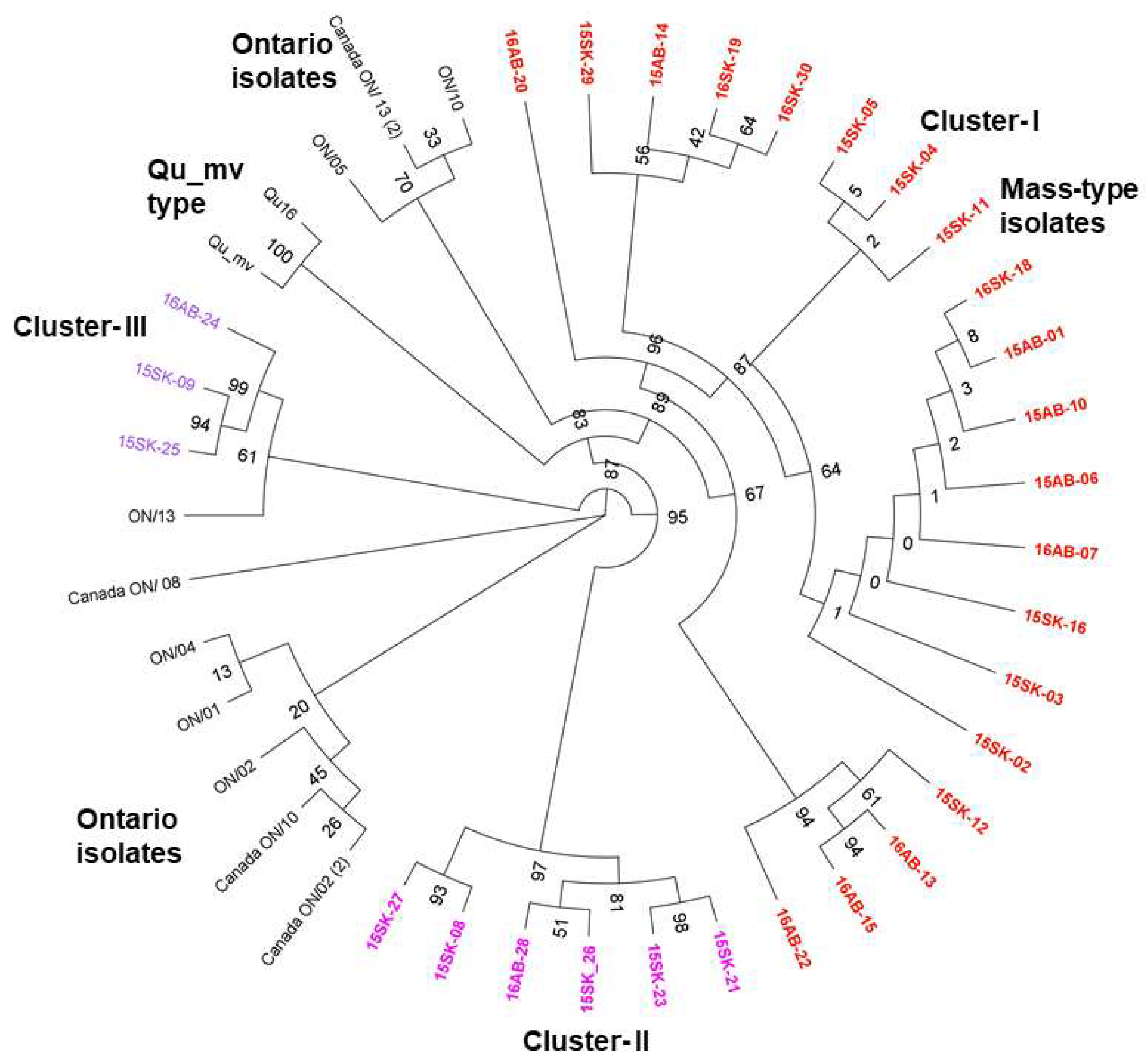 Viruses 10 00437 g003