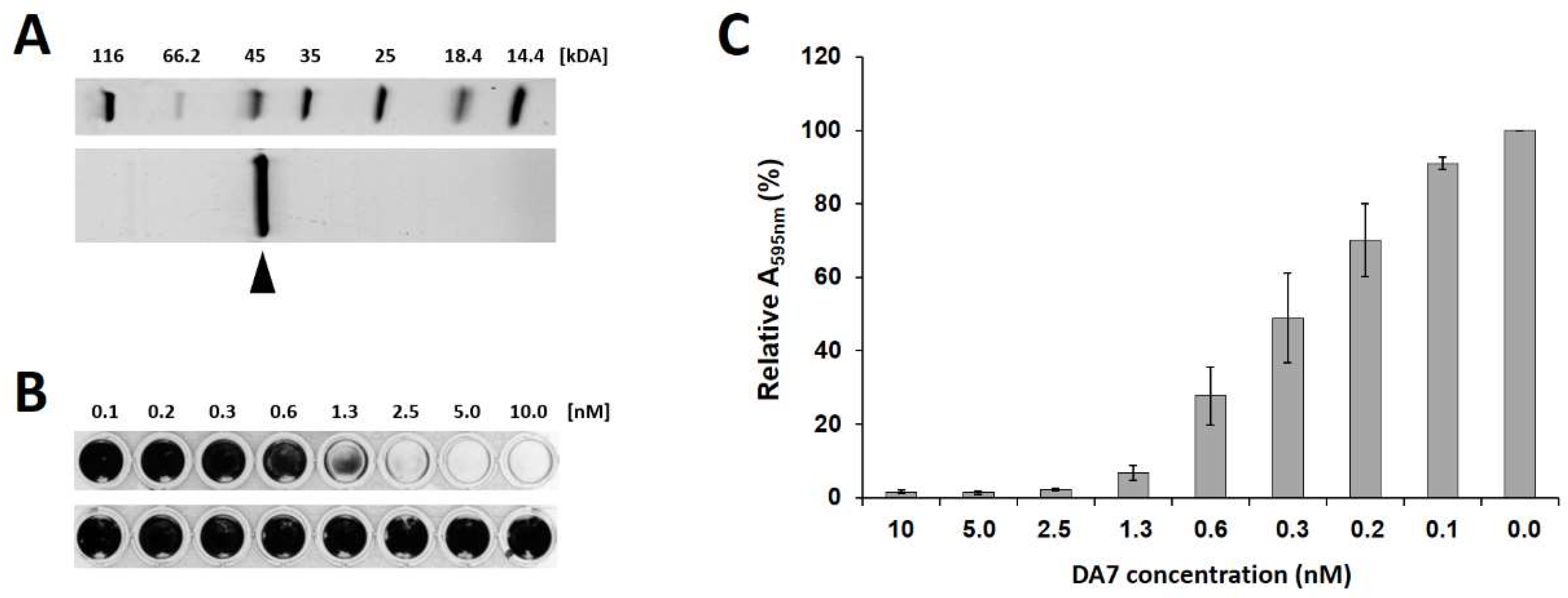 Viruses 10 00438 g003