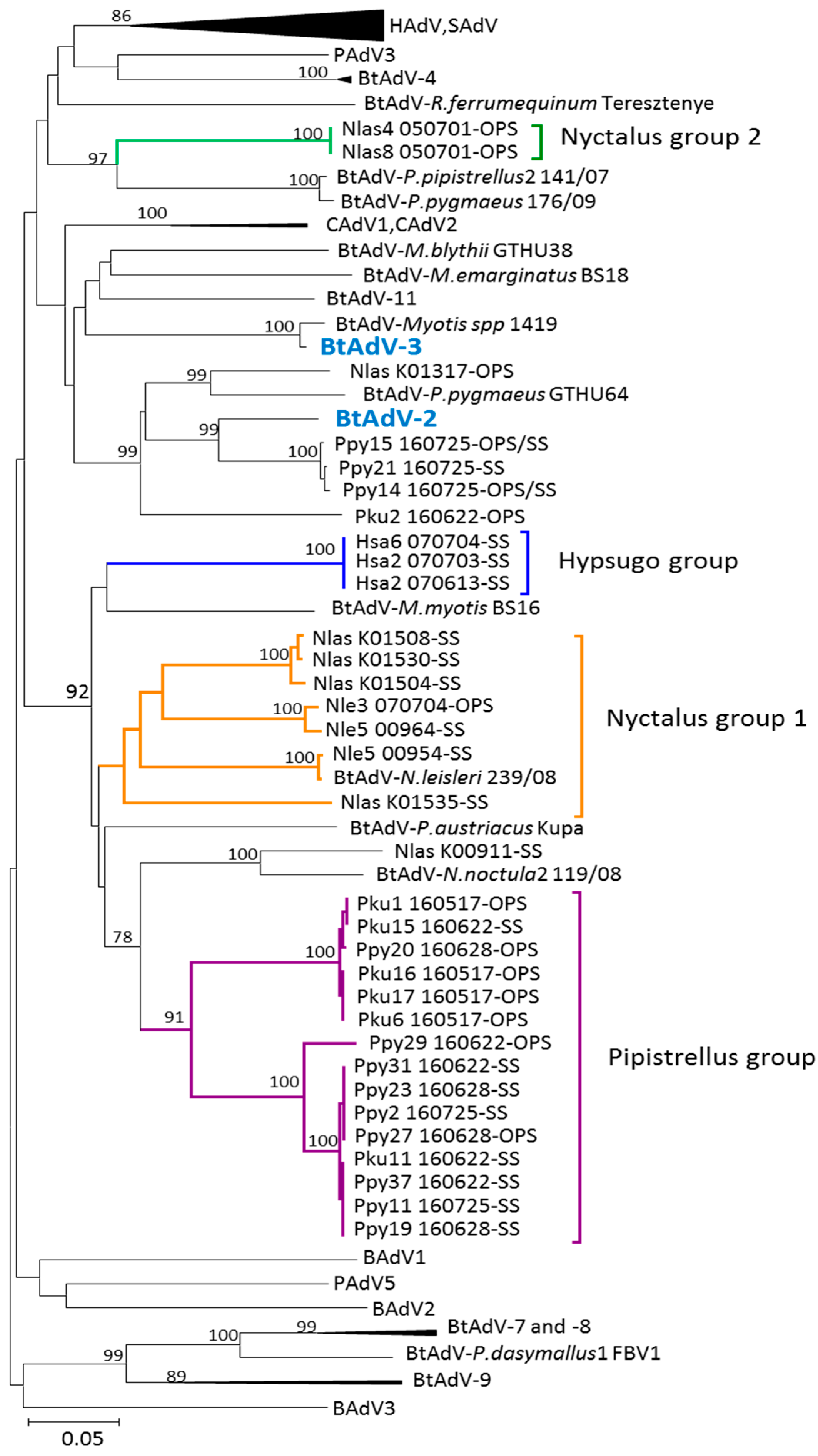 Viruses 10 00443 g003