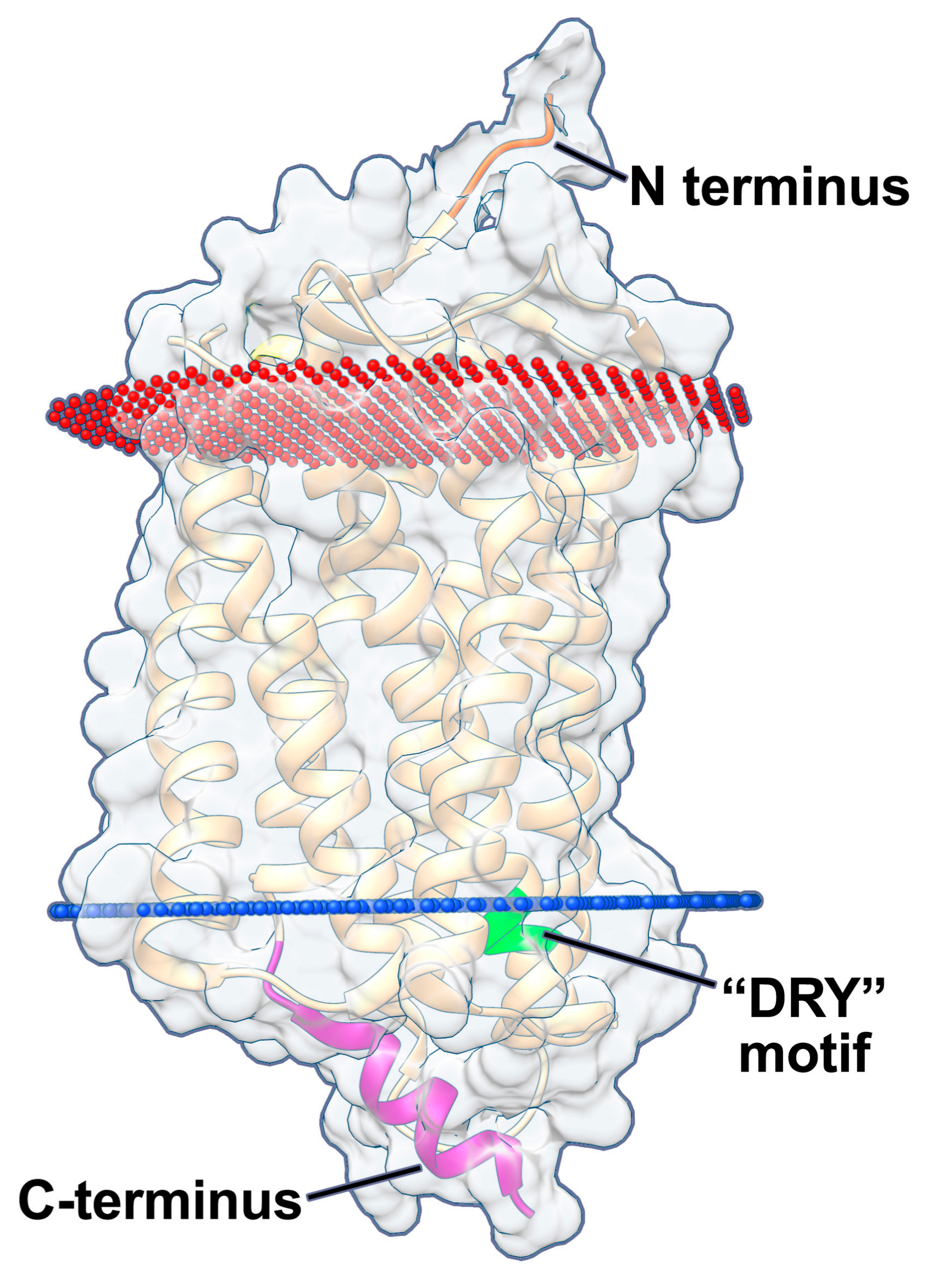 Viruses 10 00445 g001