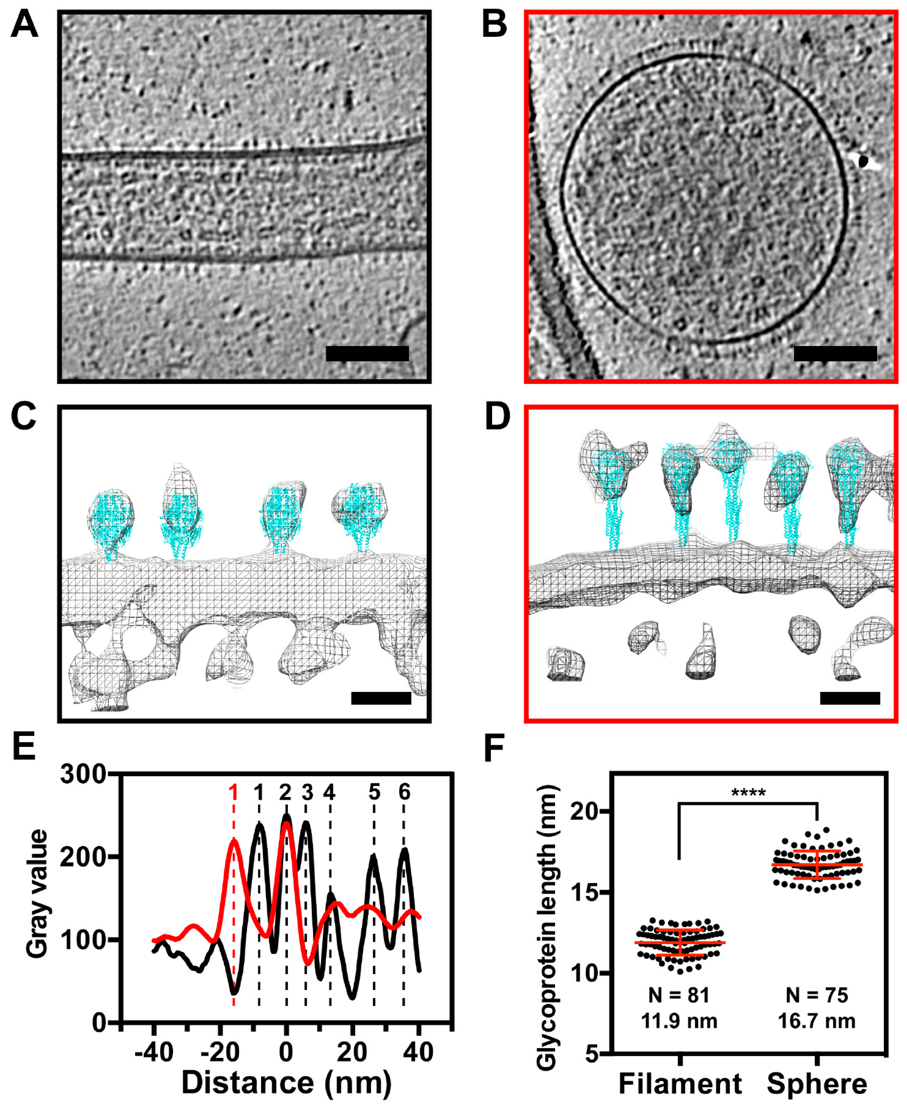 Viruses 10 00446 g007