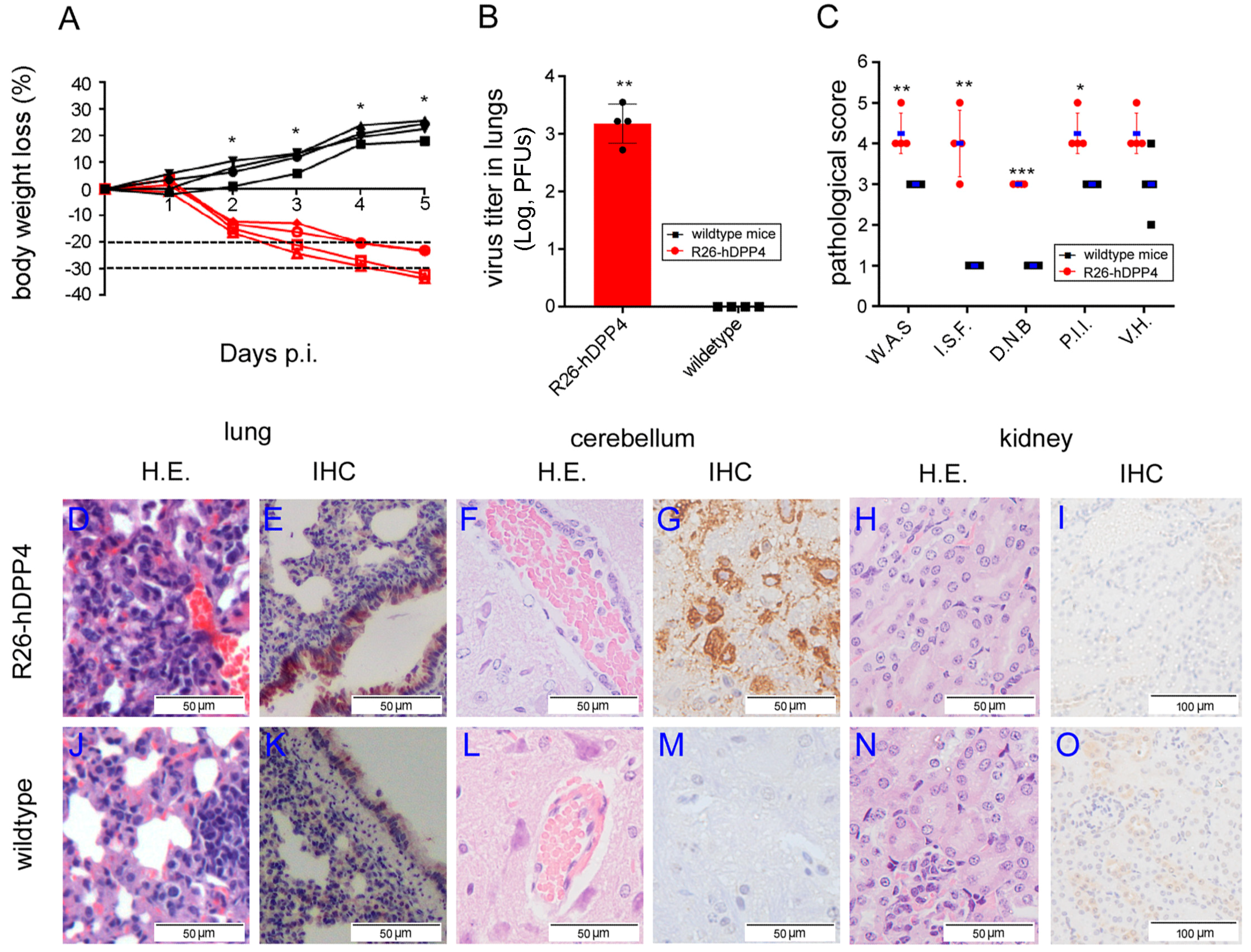Viruses 10 00448 g002 Viruses 10 00448 g002
