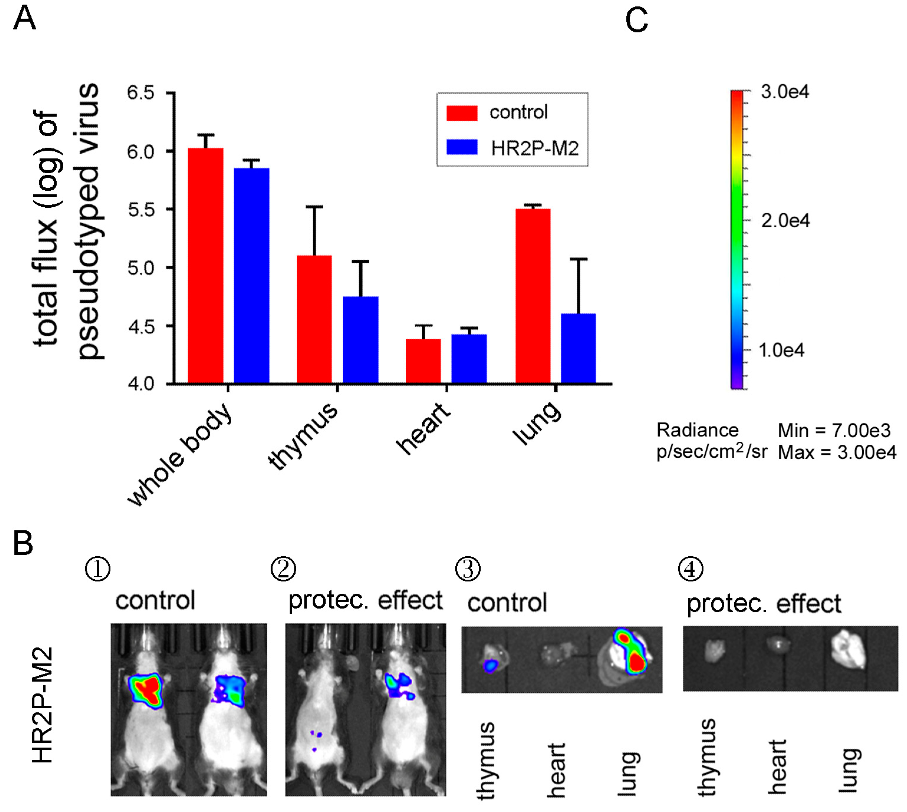 Viruses 10 00448 g007 Viruses 10 00448 g007