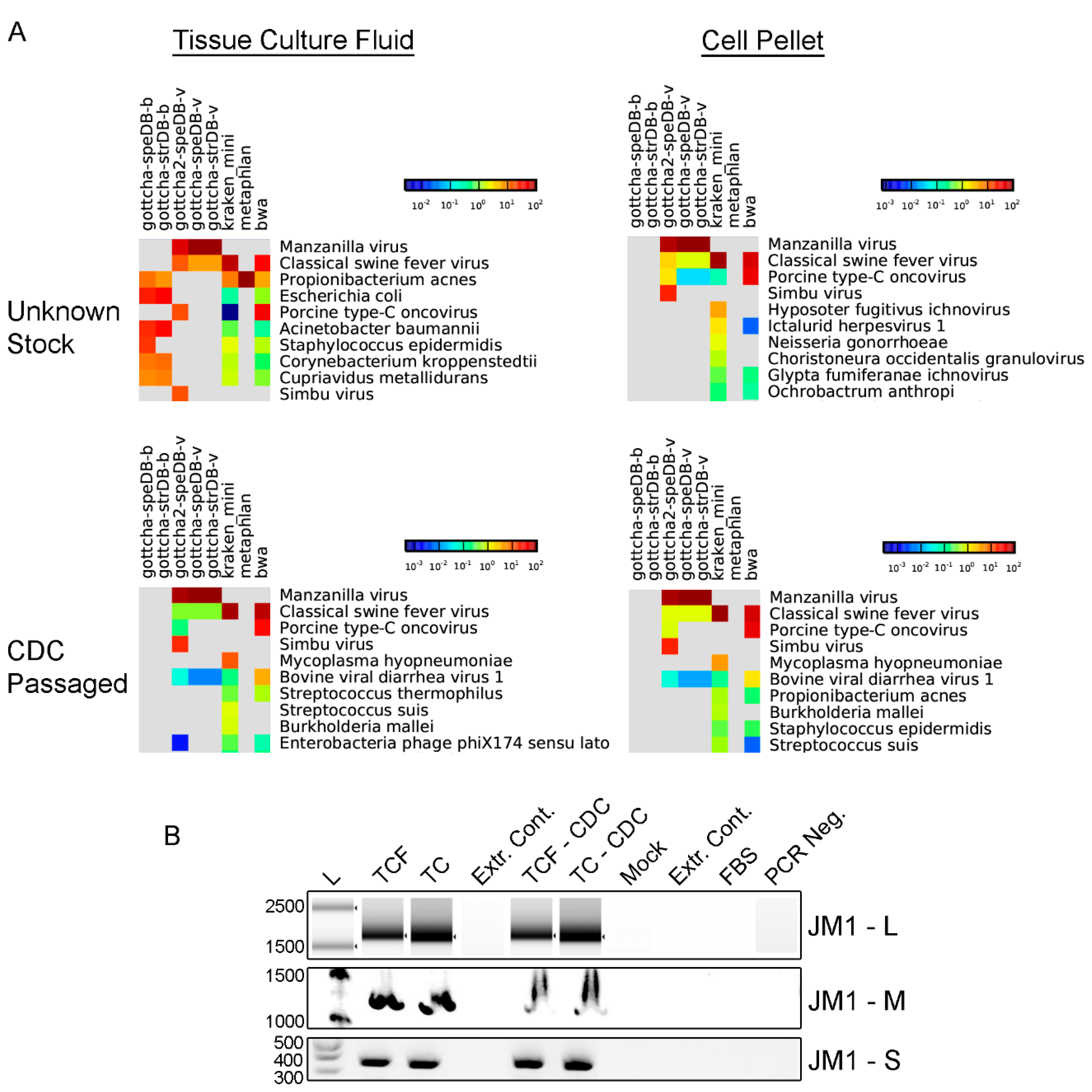 Viruses 10 00451 g001