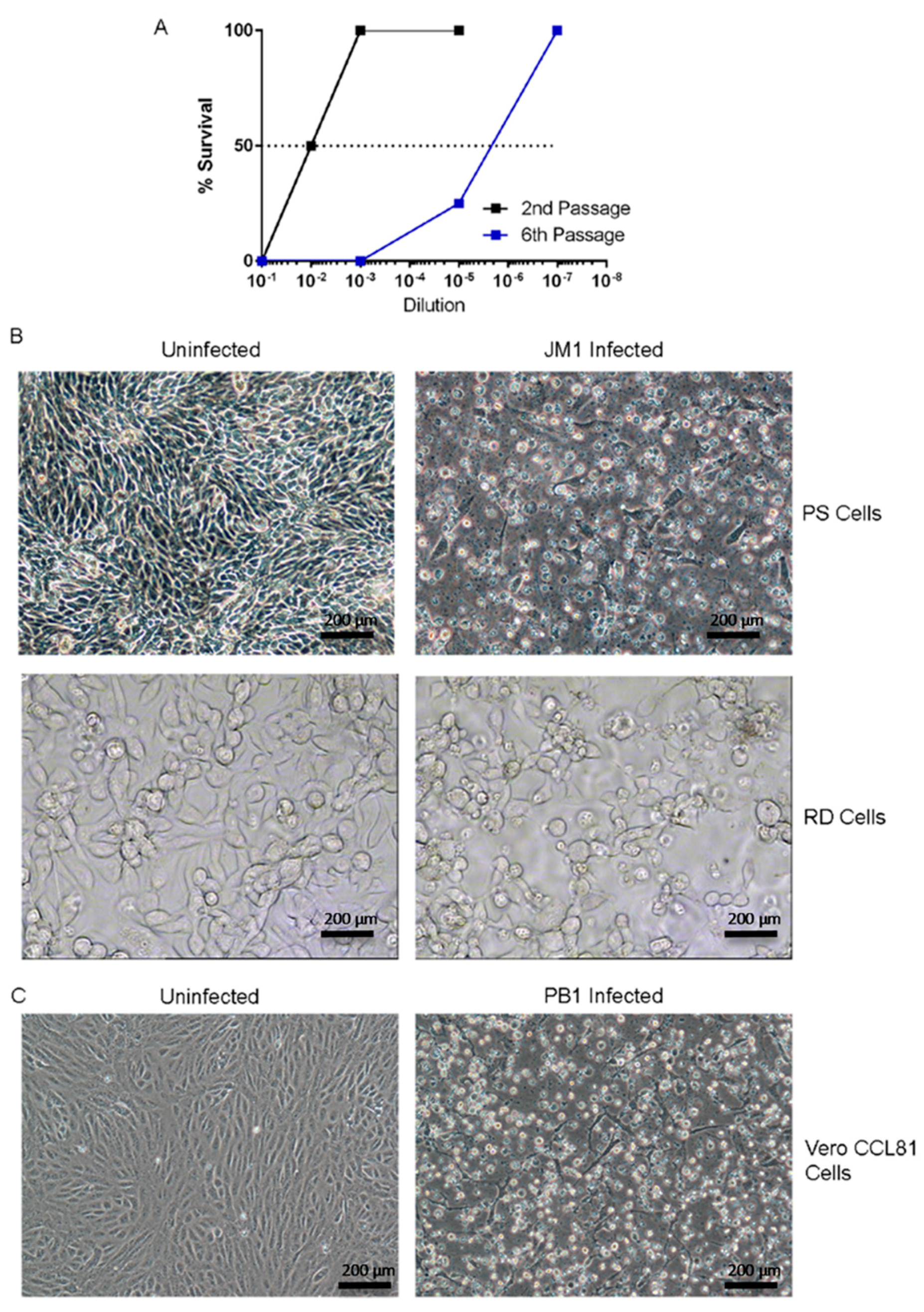 Viruses 10 00451 g002