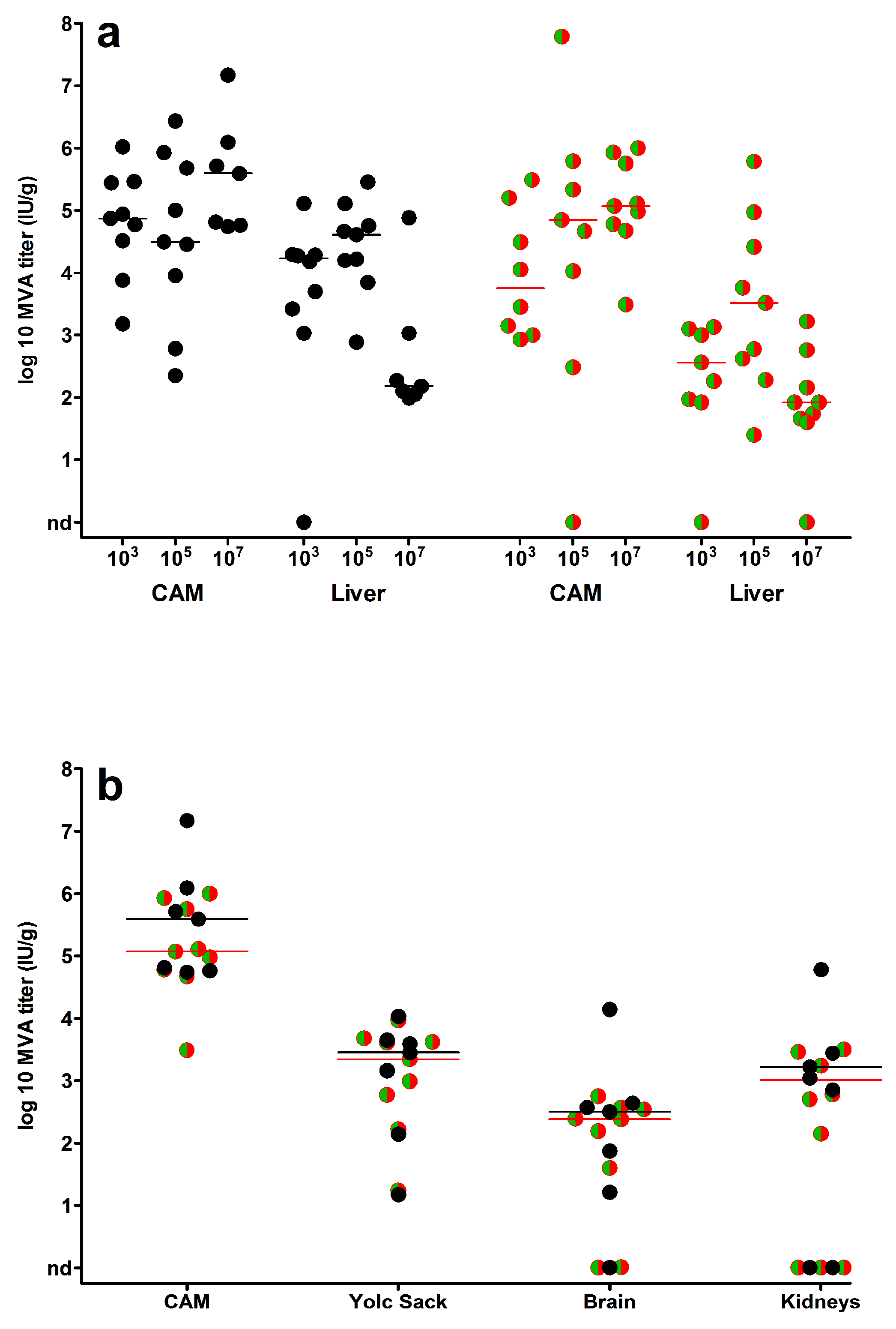 Viruses 10 00452 g005
