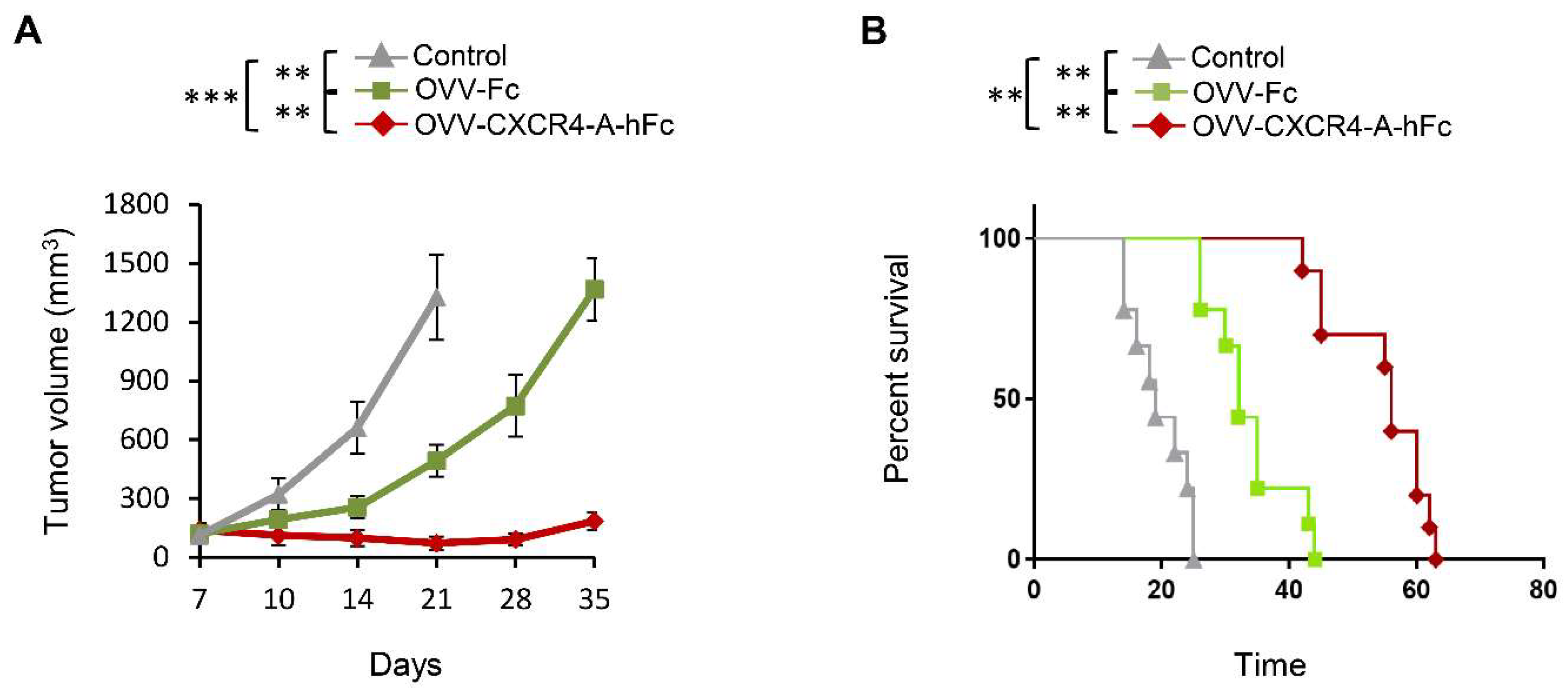 Viruses 10 00455 g004 Viruses 10 00455 g004