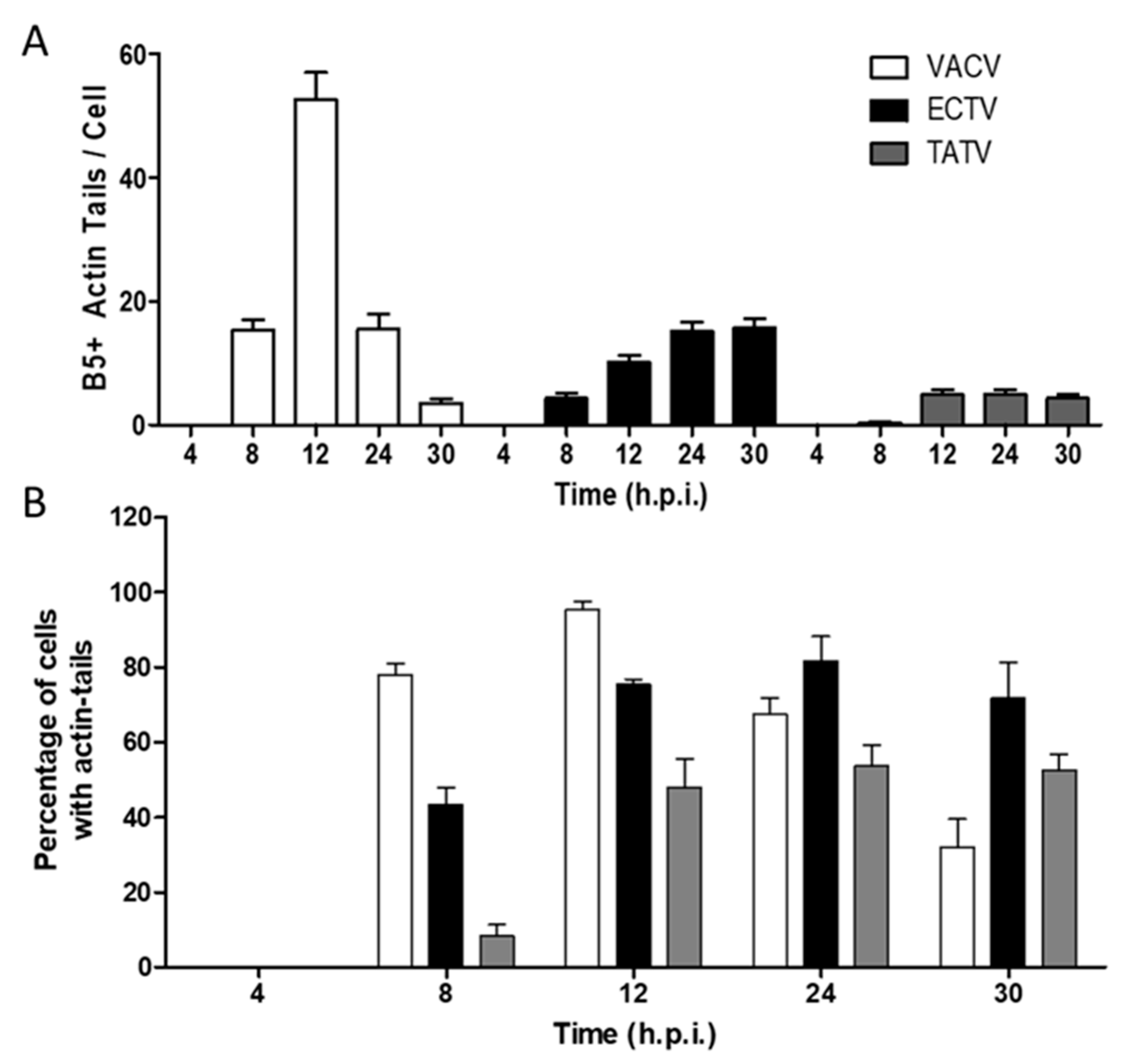 Viruses 10 00463 g007 Viruses 10 00463 g007