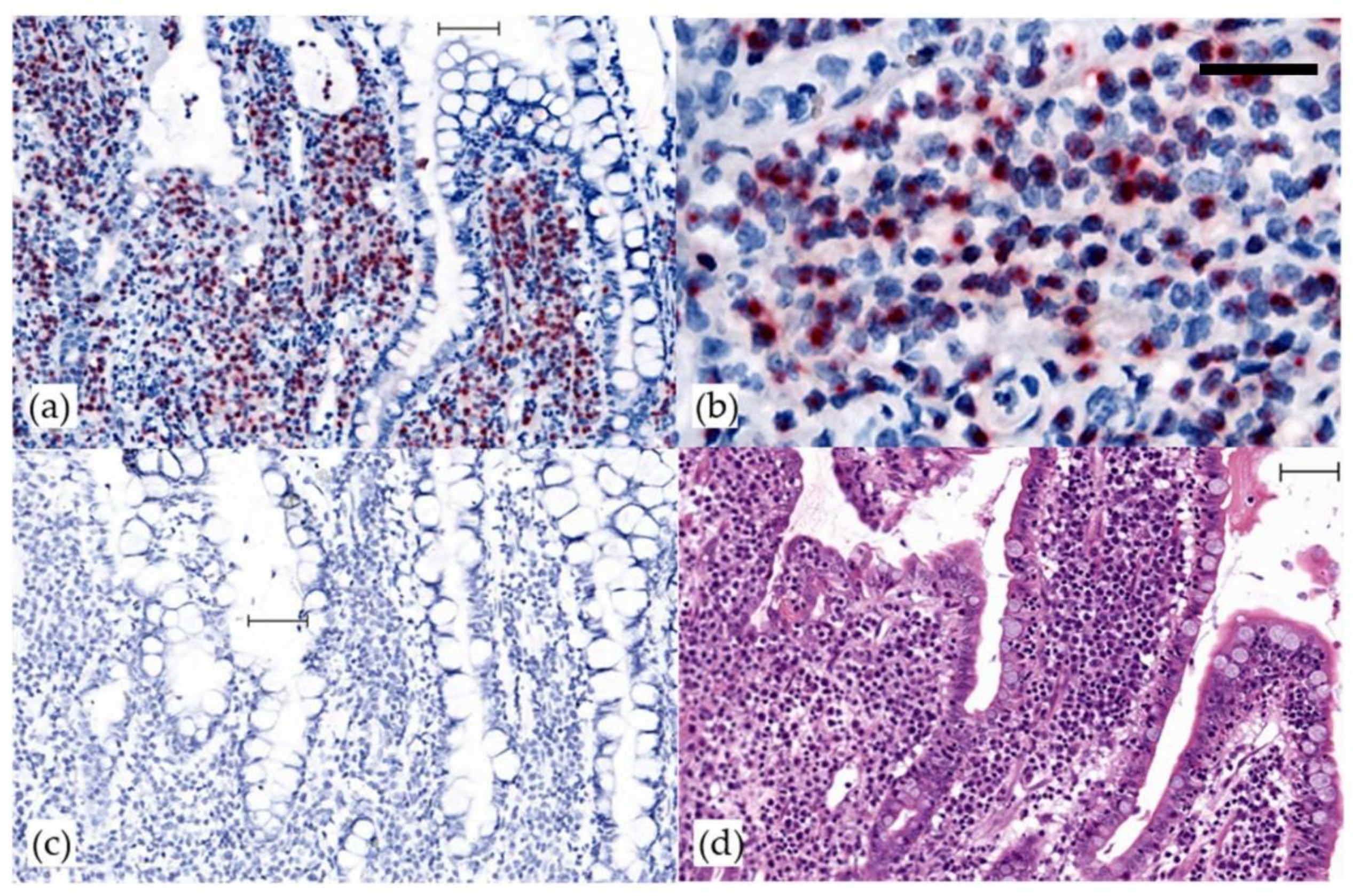 Viruses 10 00464 g001 Viruses 10 00464 g001