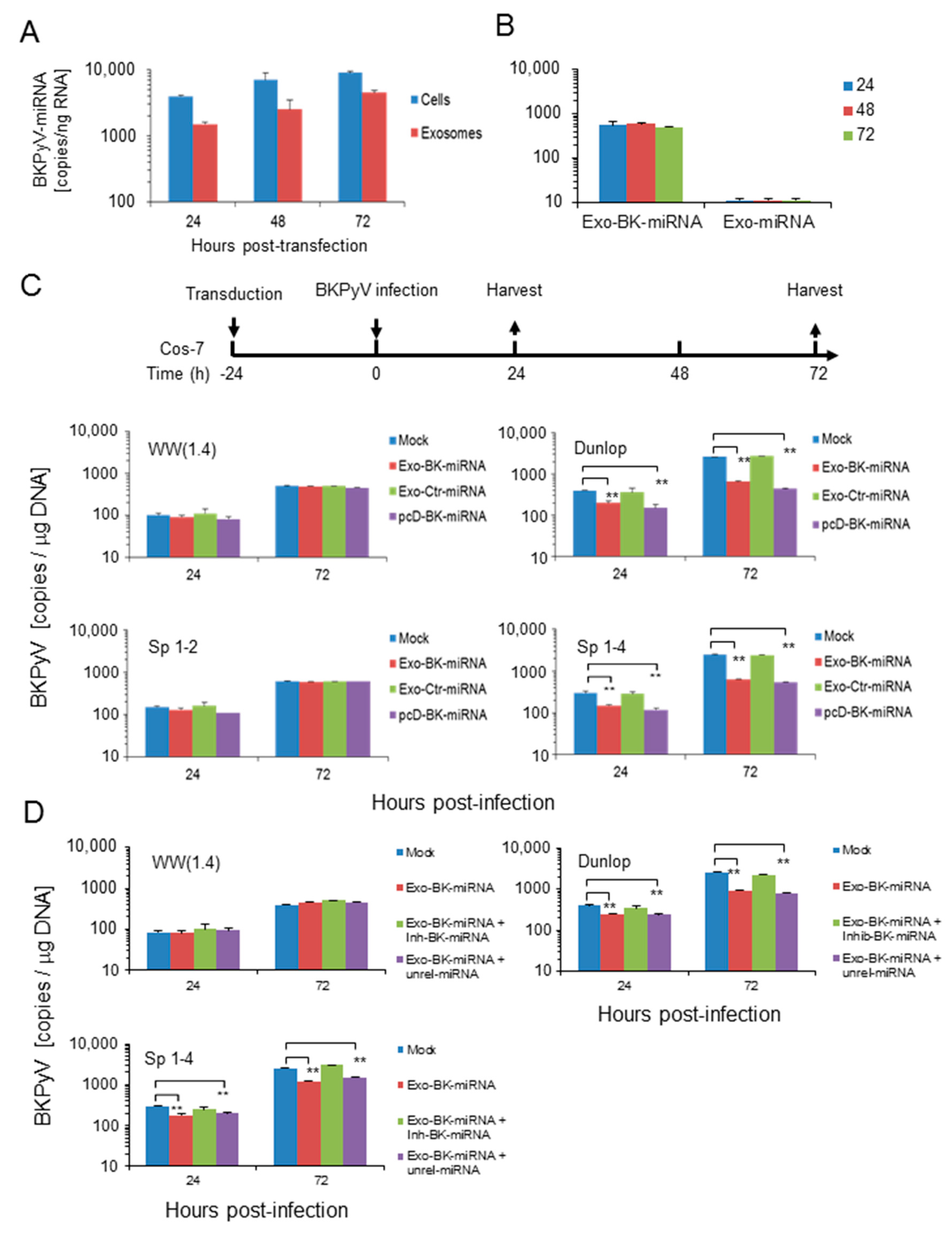 Viruses 10 00466 g006