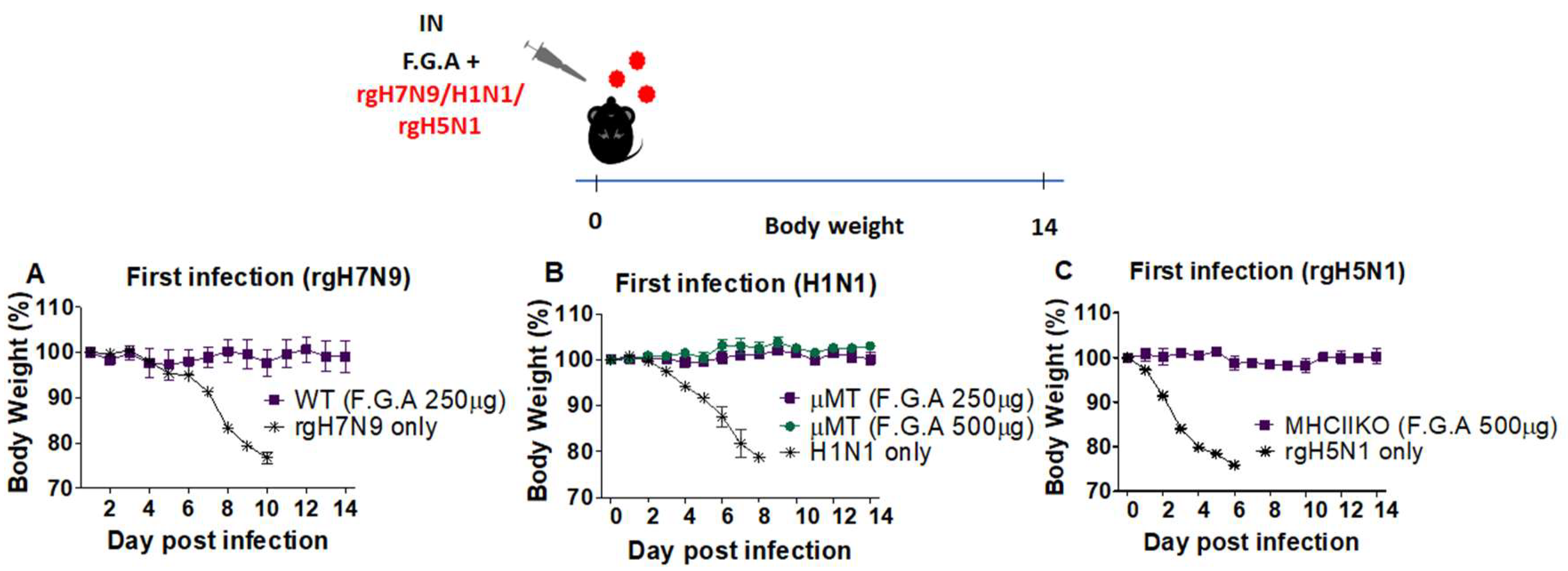 Viruses 10 00471 g004 Viruses 10 00471 g004