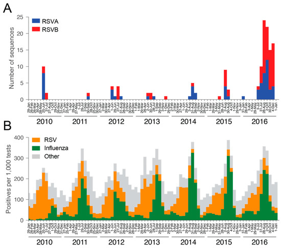 Viruses Free Full Text Evolution Of Human Respiratory Syncytial Virus Rsv Over Multiple Seasons In New South Wales Australia Html