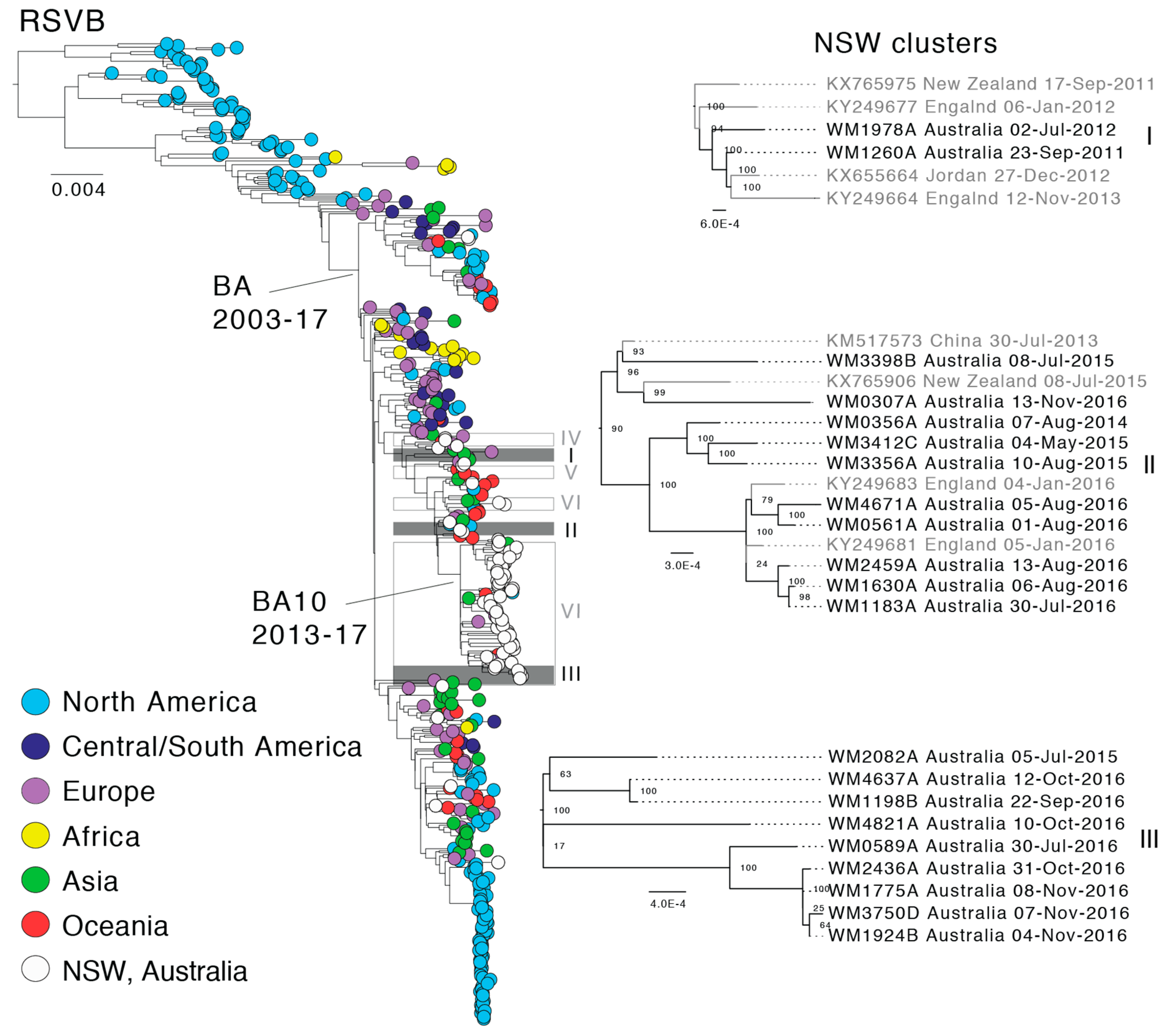 Viruses 10 00476 g004 Viruses 10 00476 g004