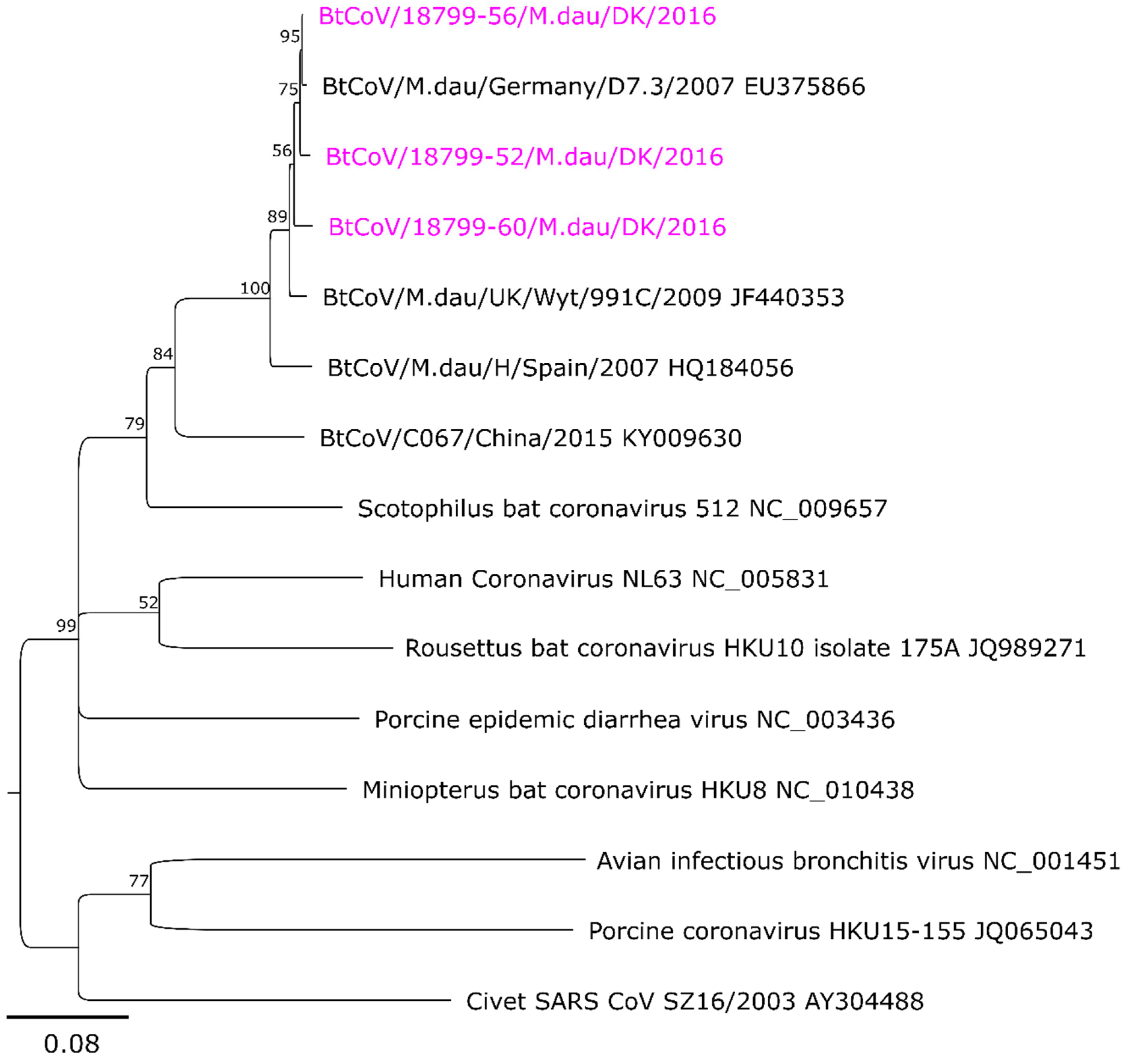 Viruses 10 00486 g003