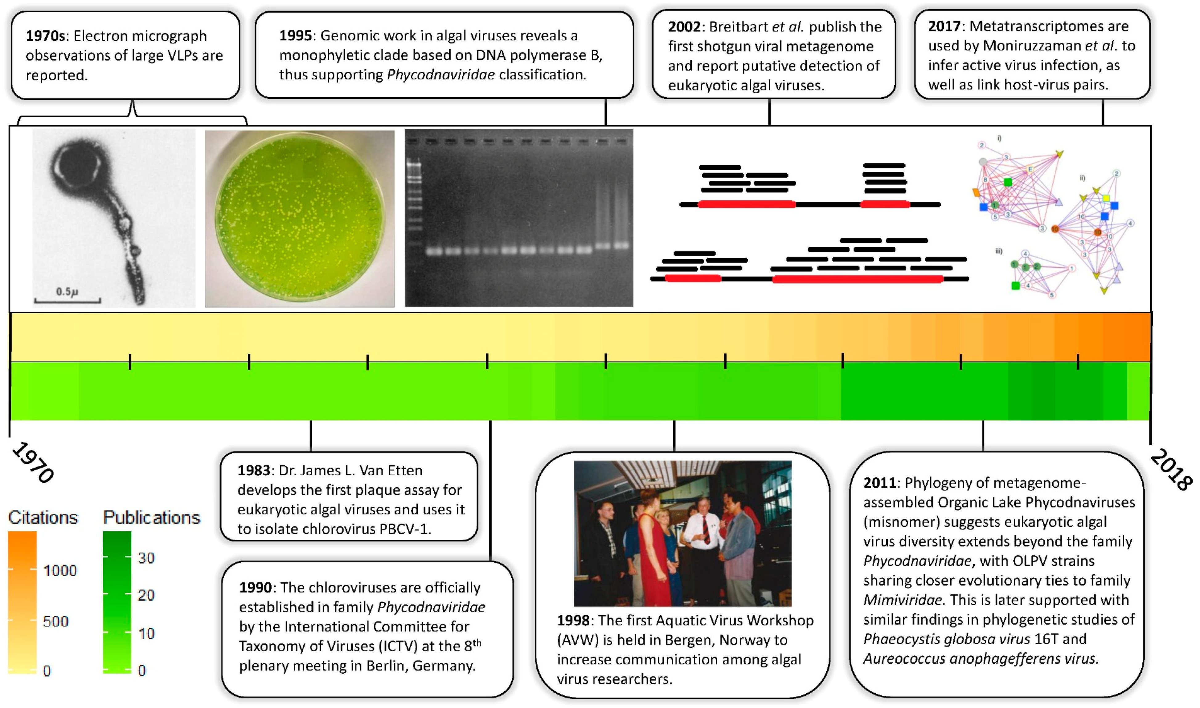Viruses 10 00487 g001