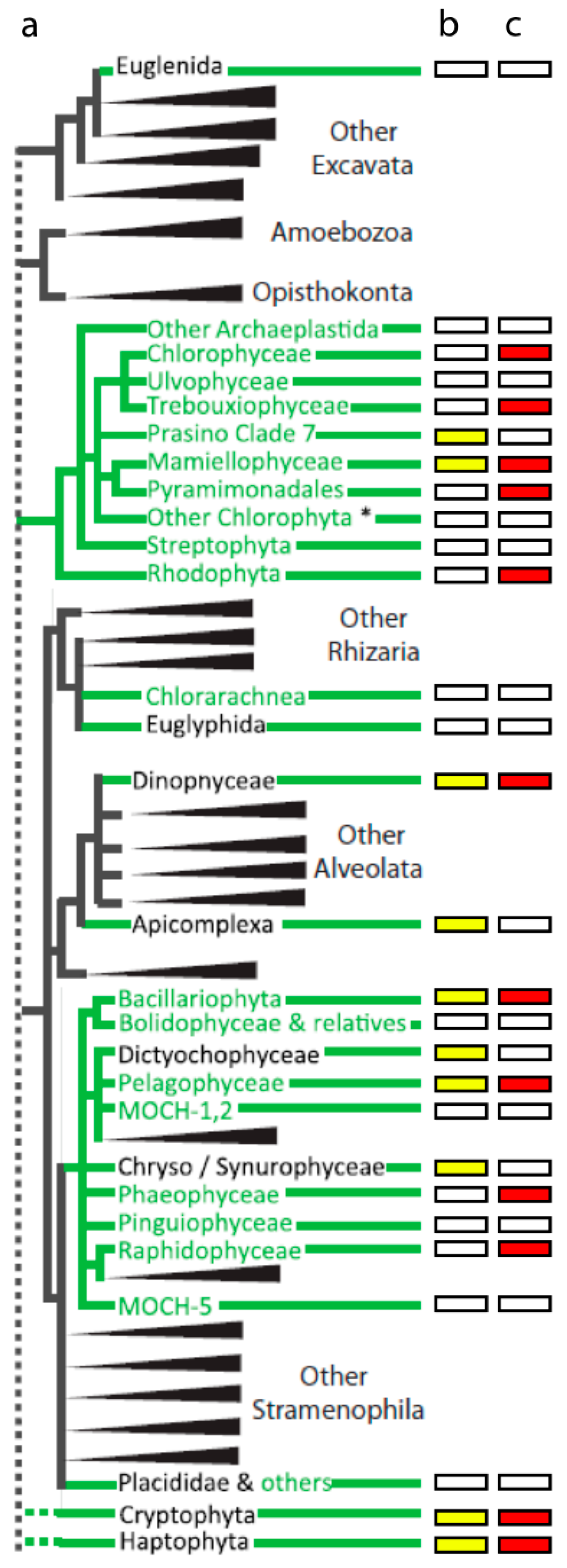 Viruses 10 00487 g002