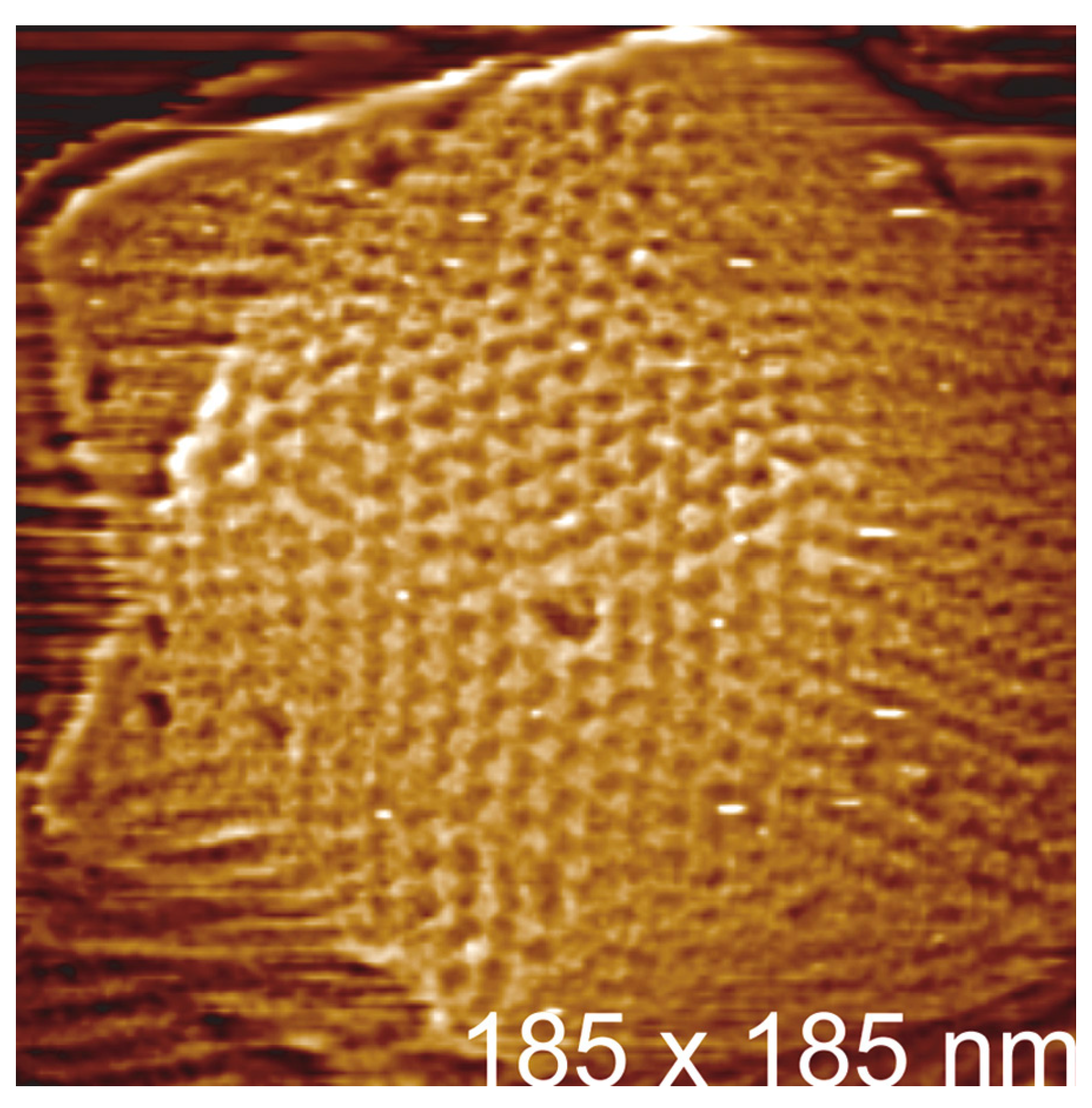 Viruses 10 00490 g003 Viruses 10 00490 g003