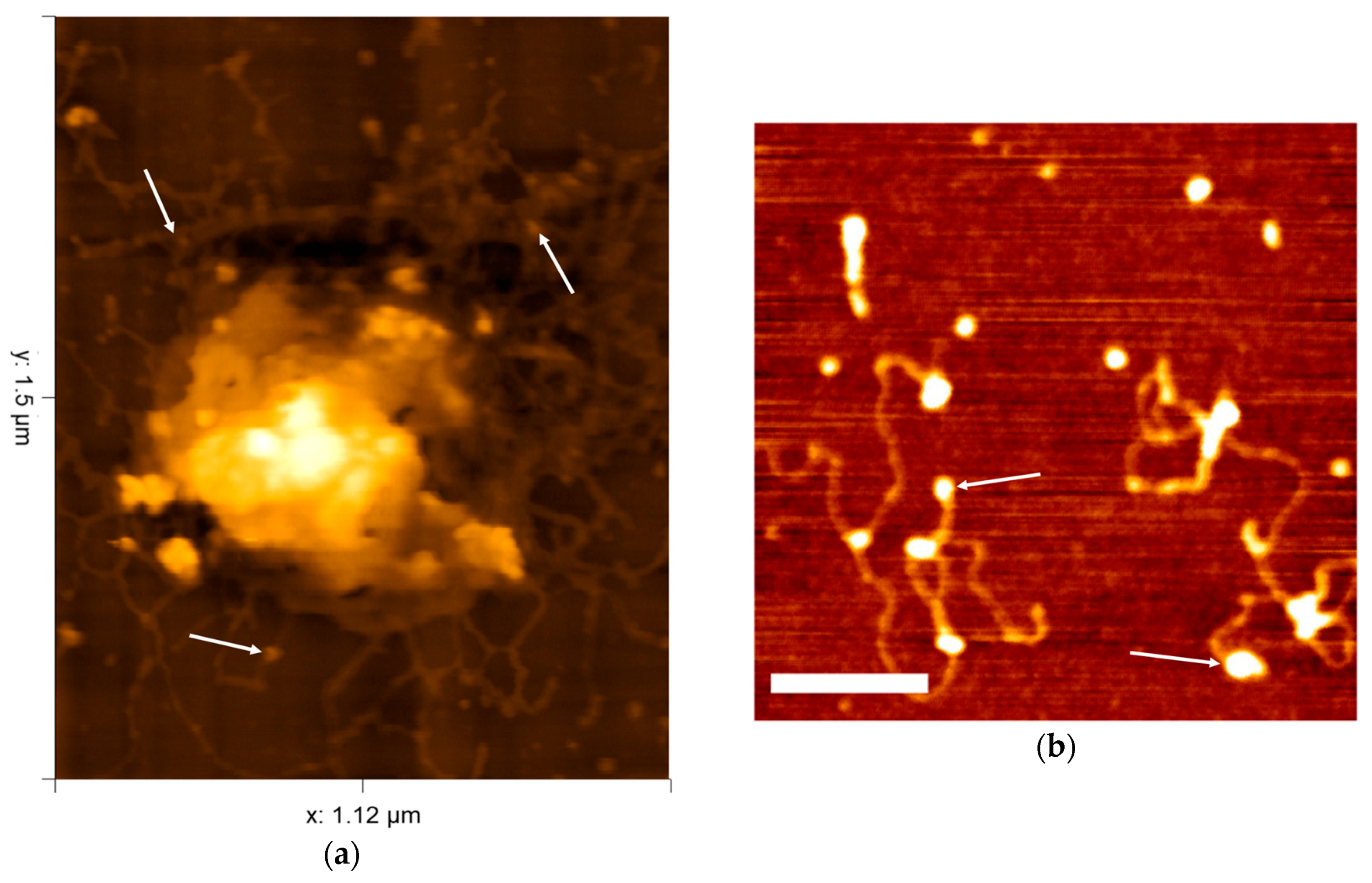 Viruses 10 00490 g006 Viruses 10 00490 g006