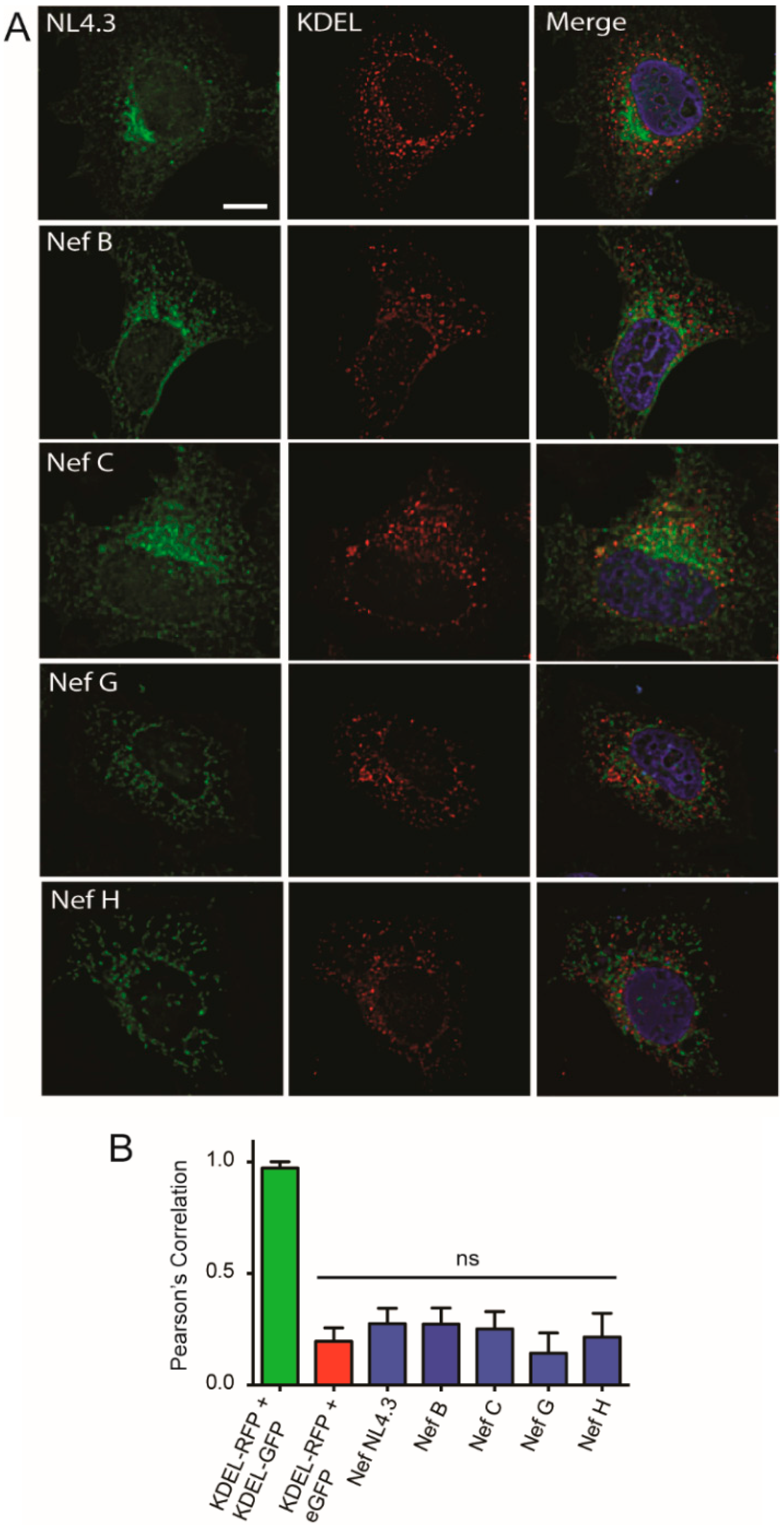 Viruses 10 00493 g005 Viruses 10 00493 g005