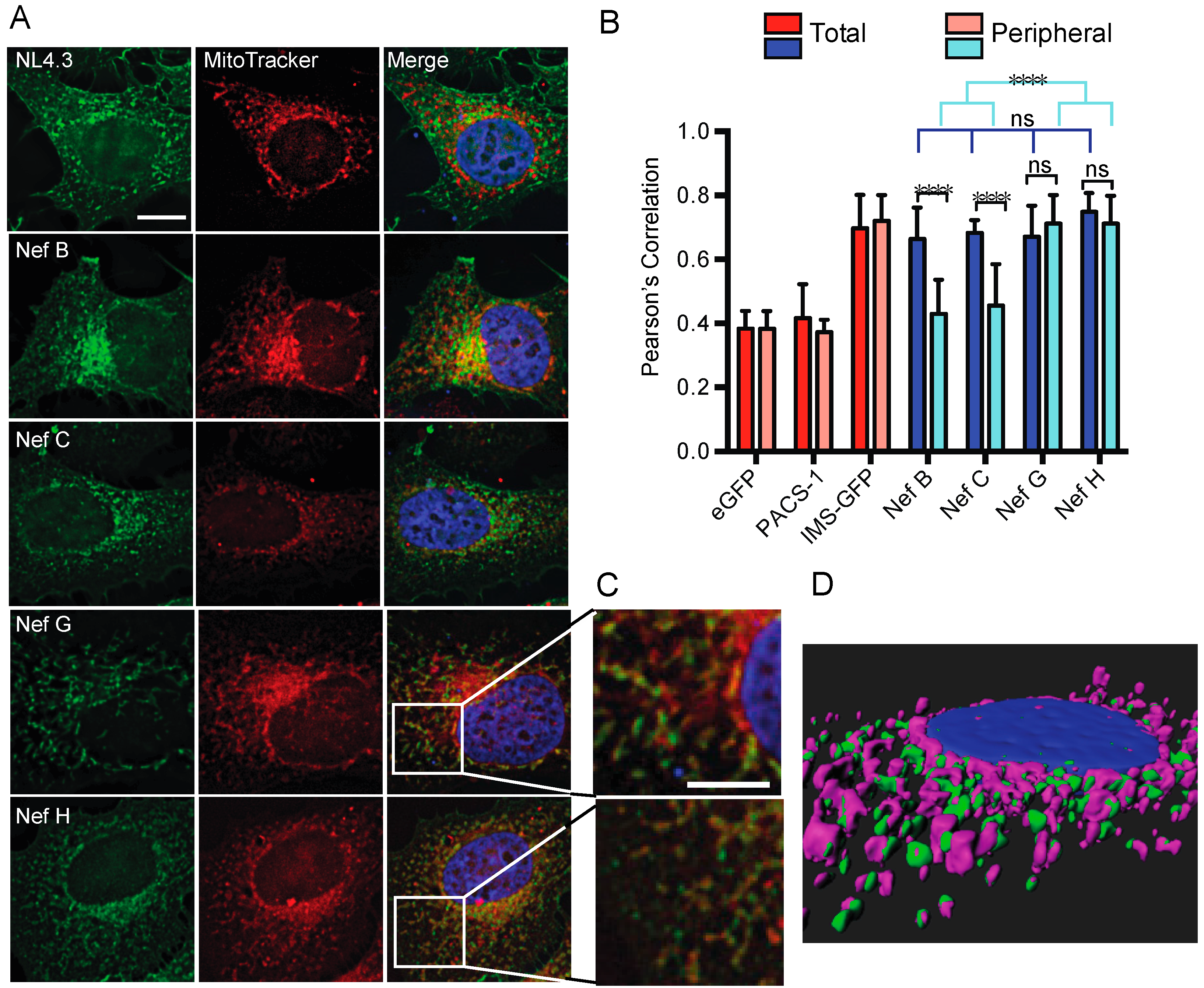 Viruses 10 00493 g007 Viruses 10 00493 g007