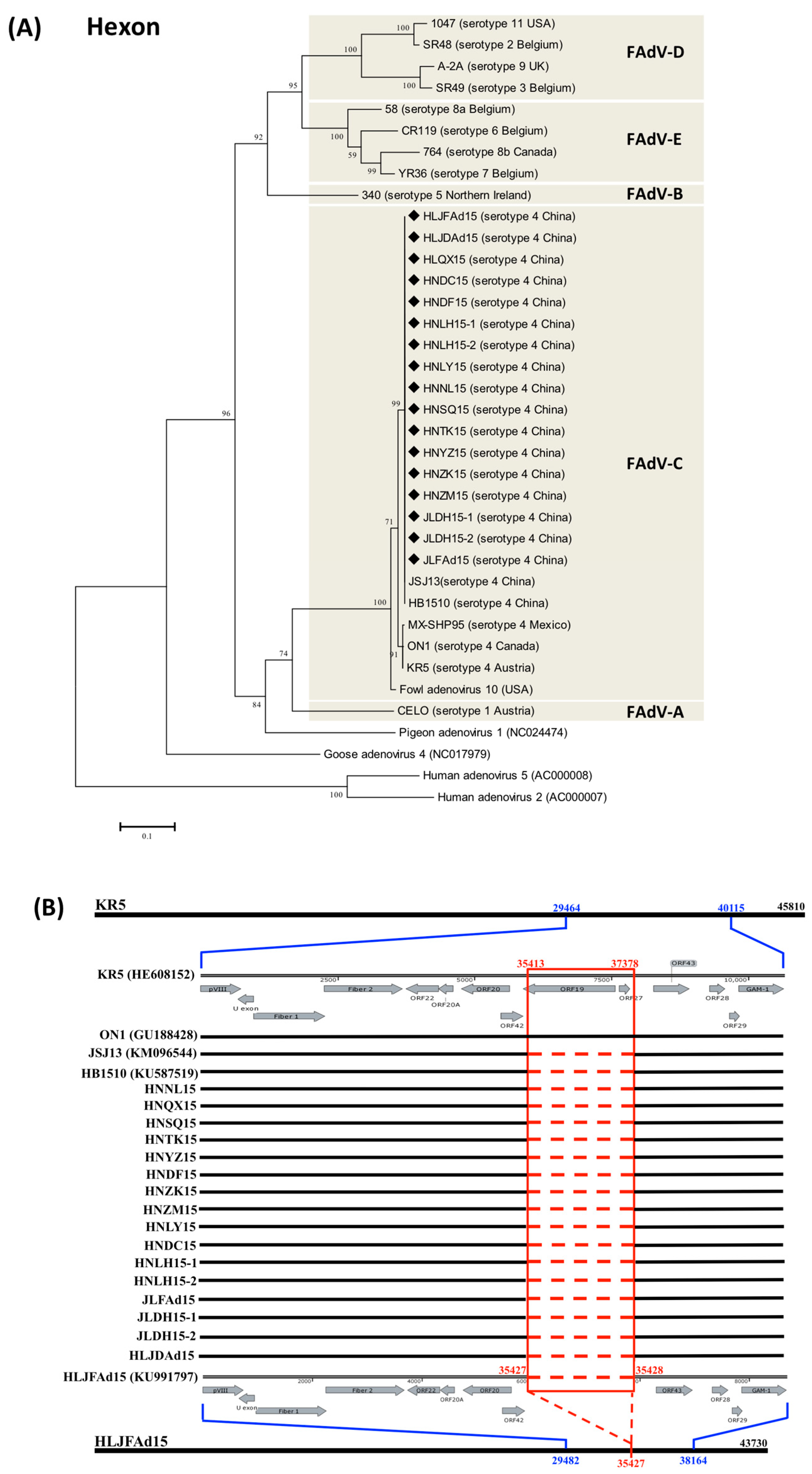 Viruses 10 00494 g001 Viruses 10 00494 g001
